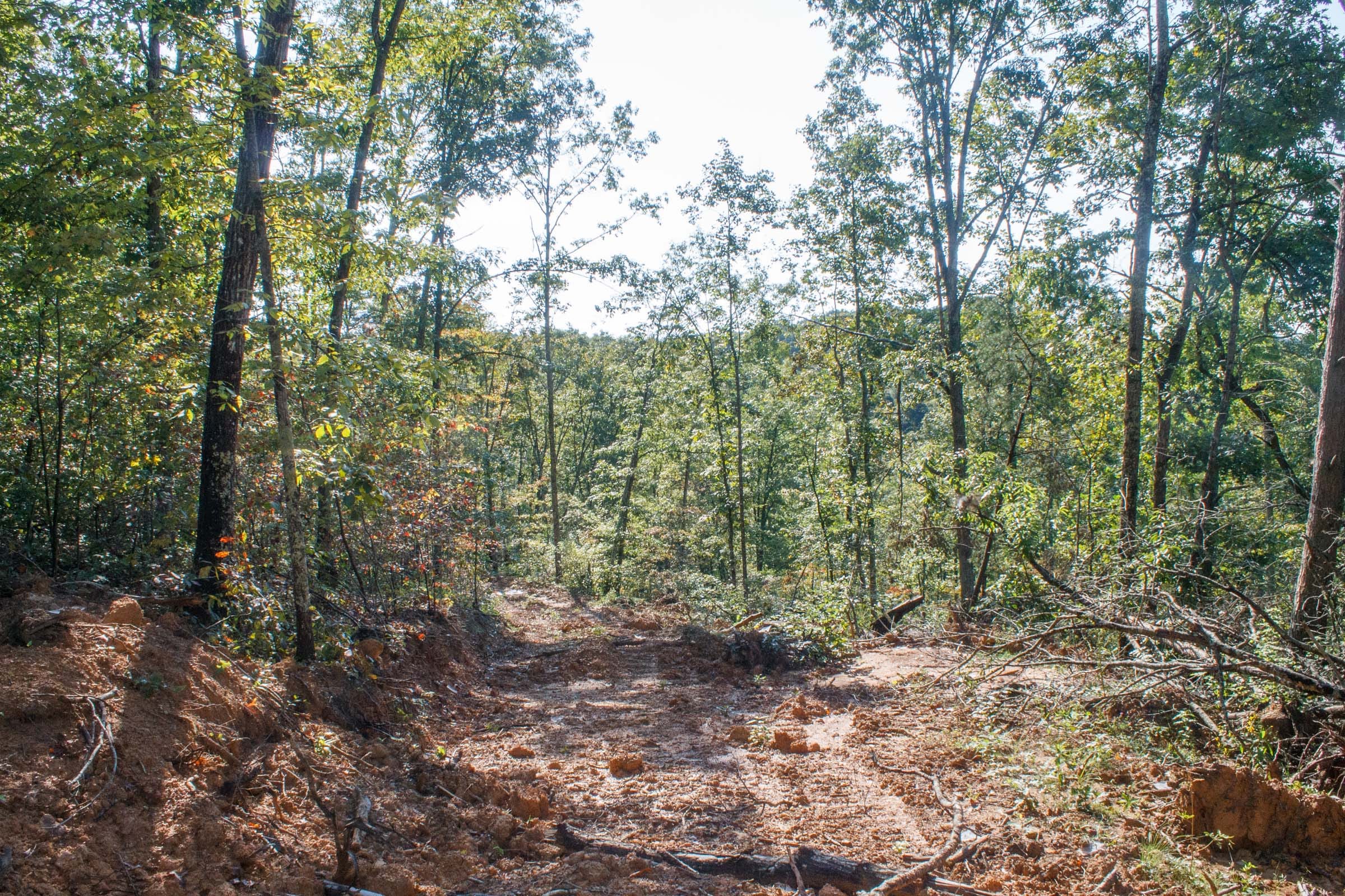 Wounded Oak Tract 7 photo 11