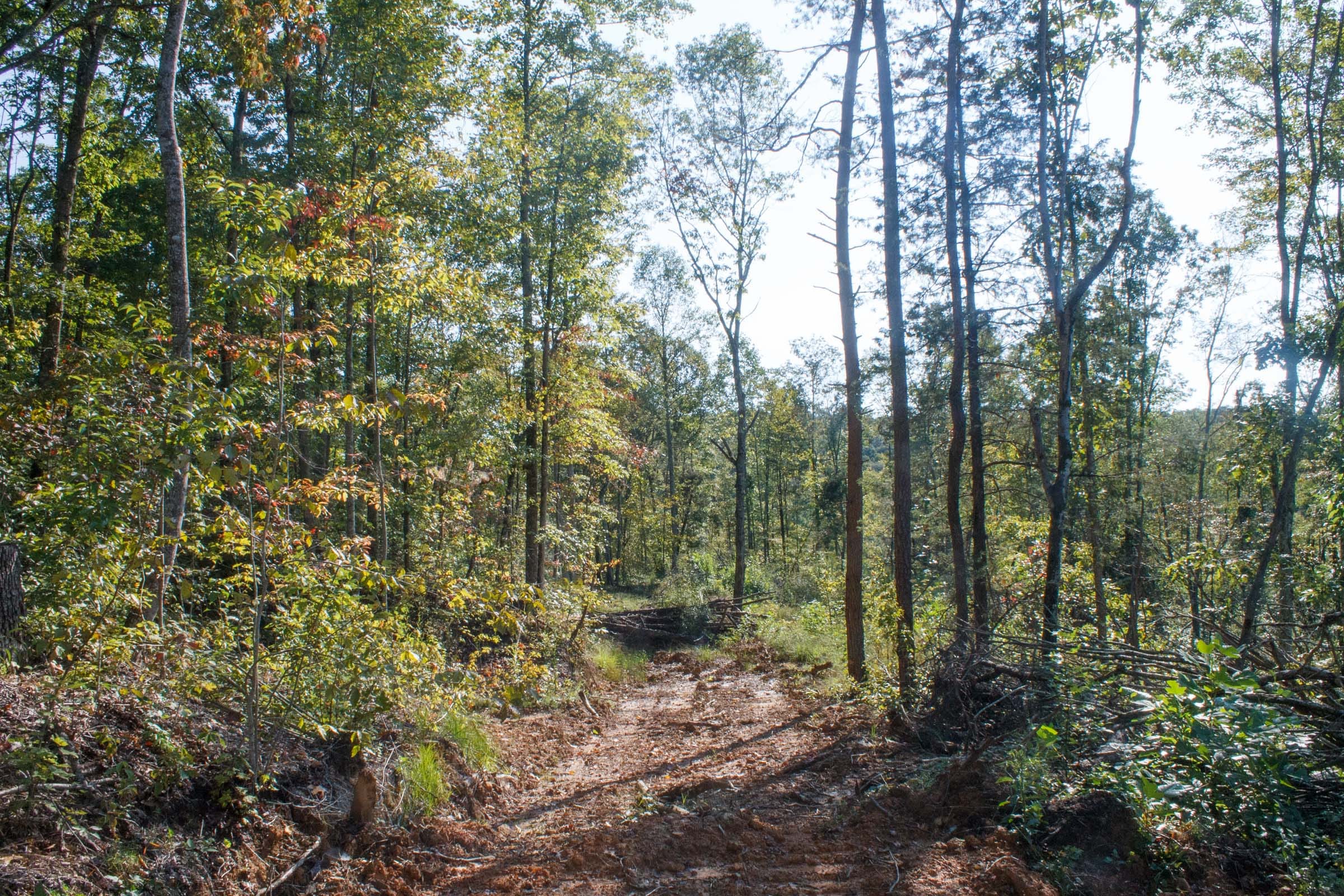 Wounded Oak Tract 7 photo 14