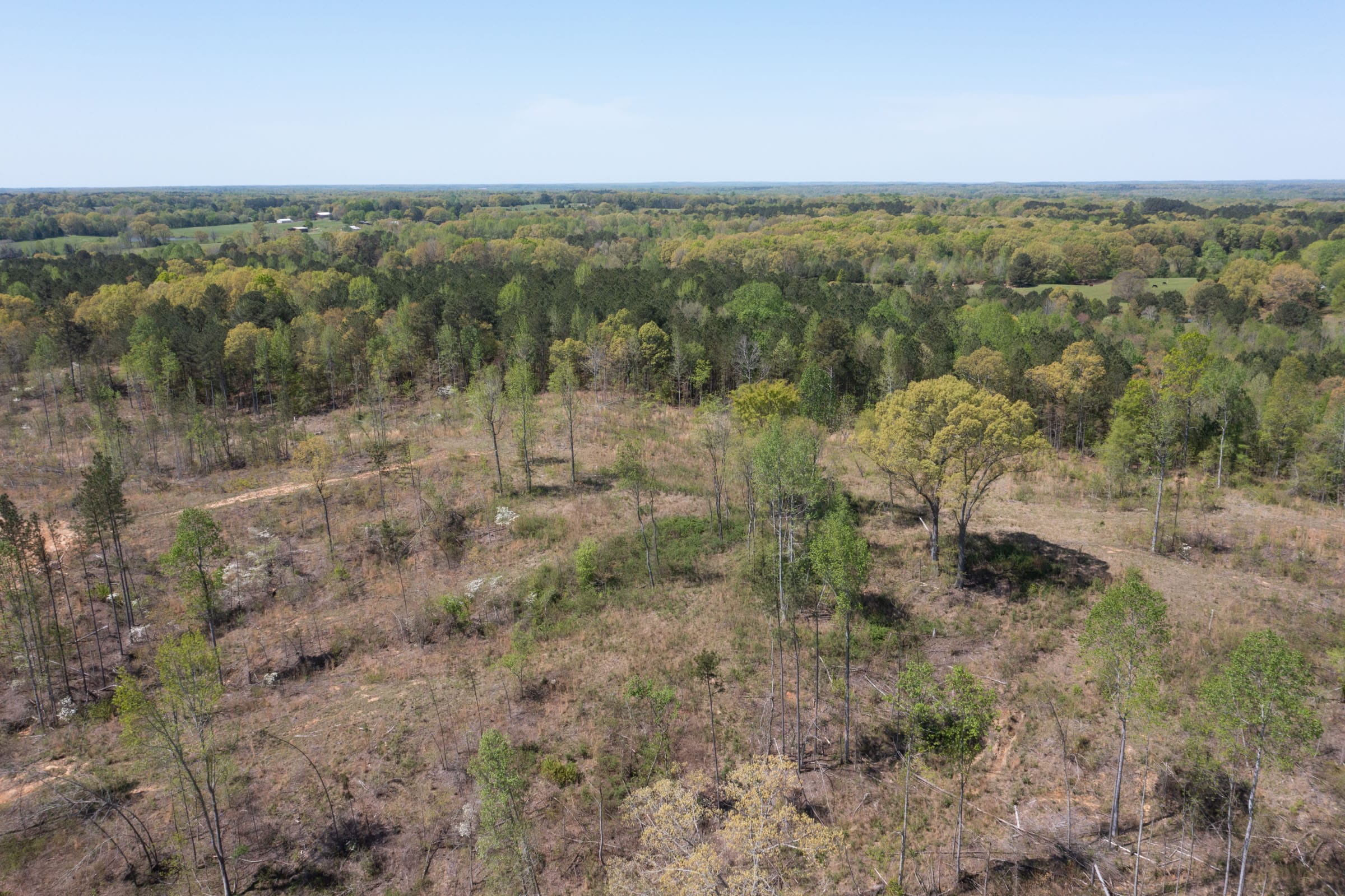 Twin Rivers Tract 12 photo 1