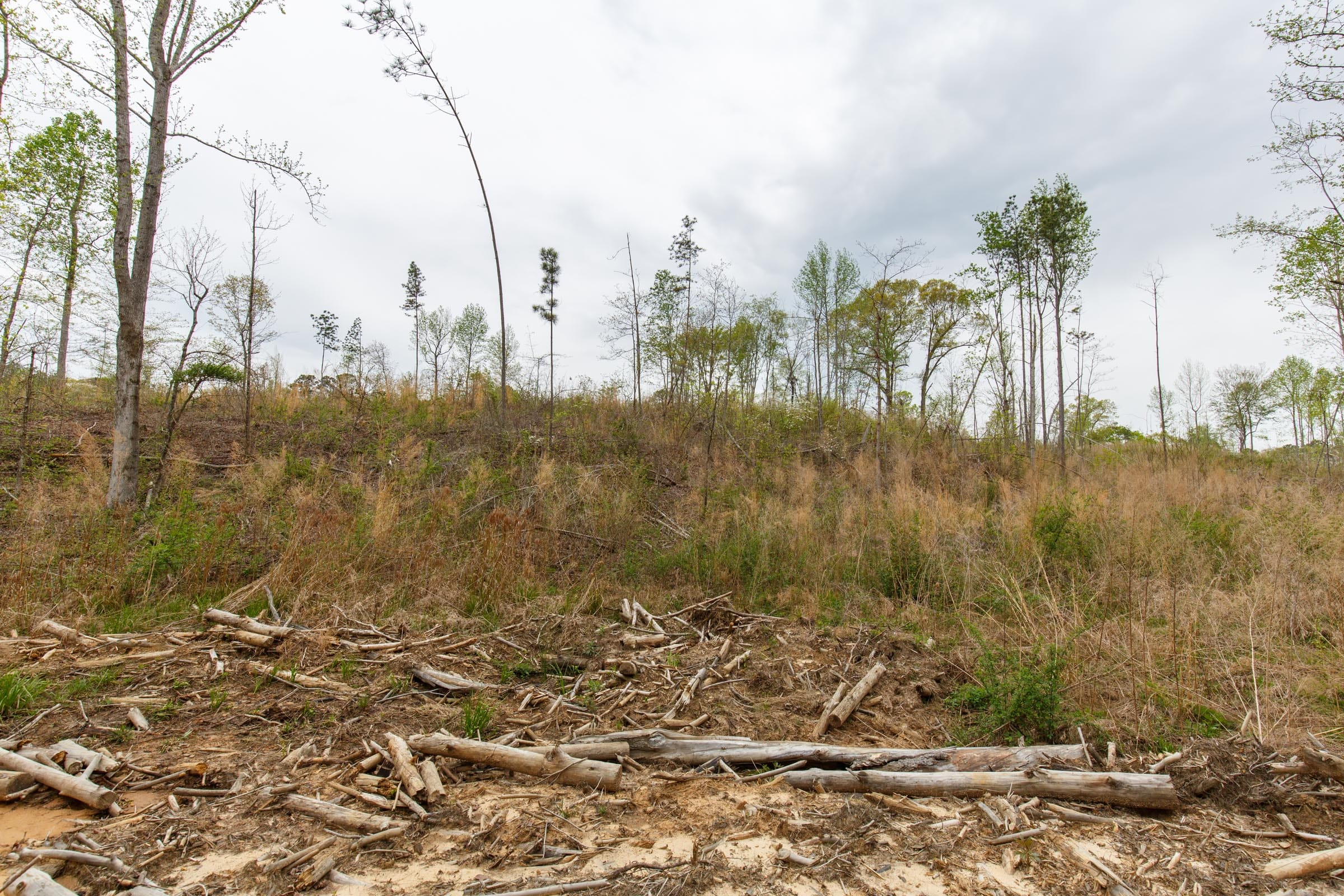 Twin Rivers Tract 12 photo 4
