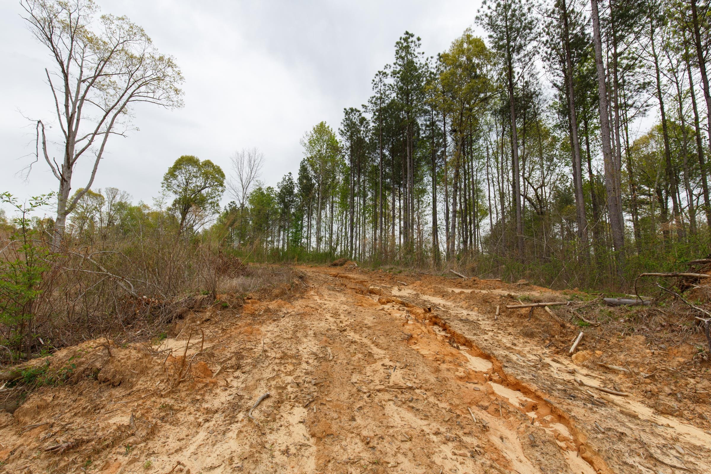 Twin Rivers Tract 12 photo 2