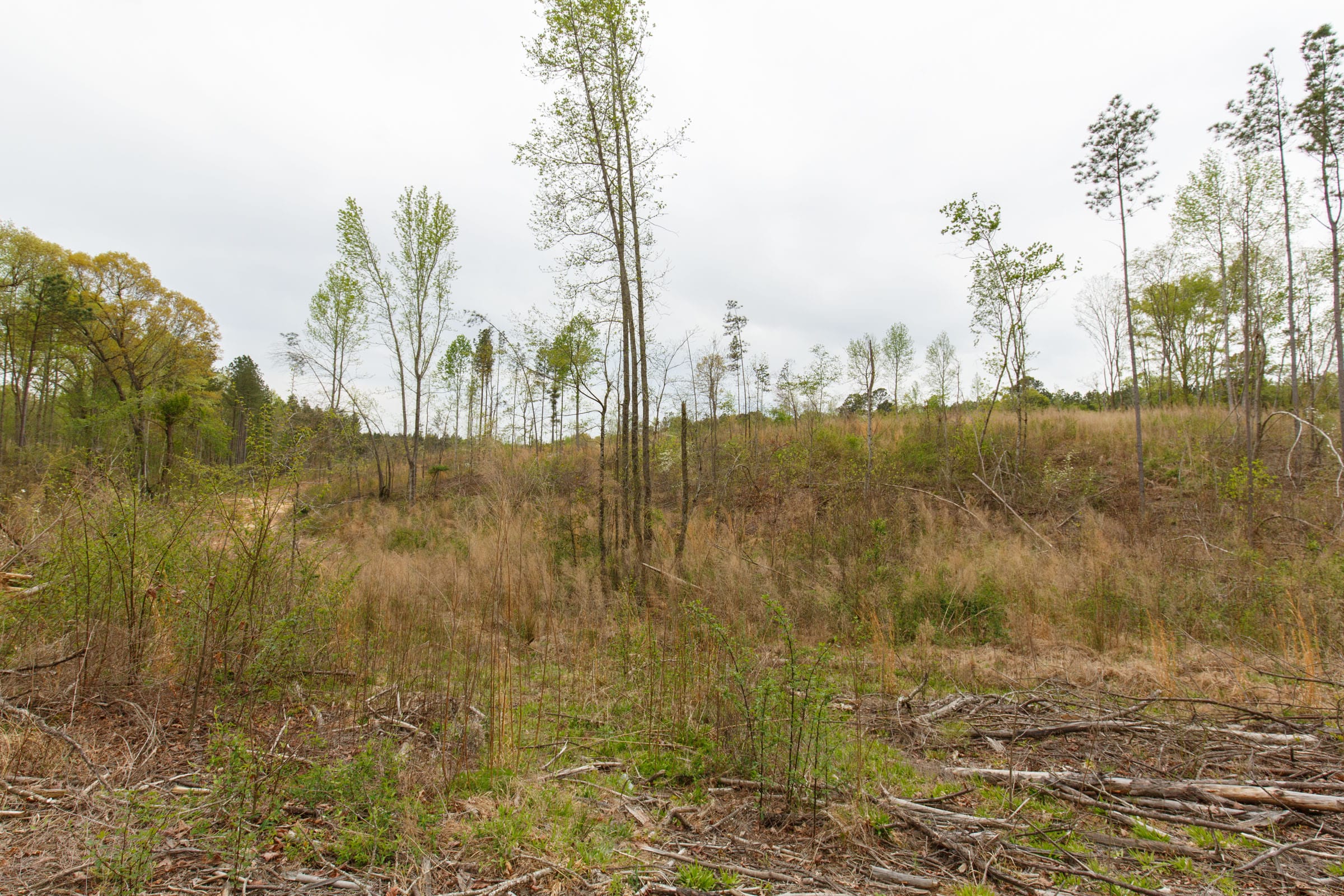 Twin Rivers Tract 12 photo 5