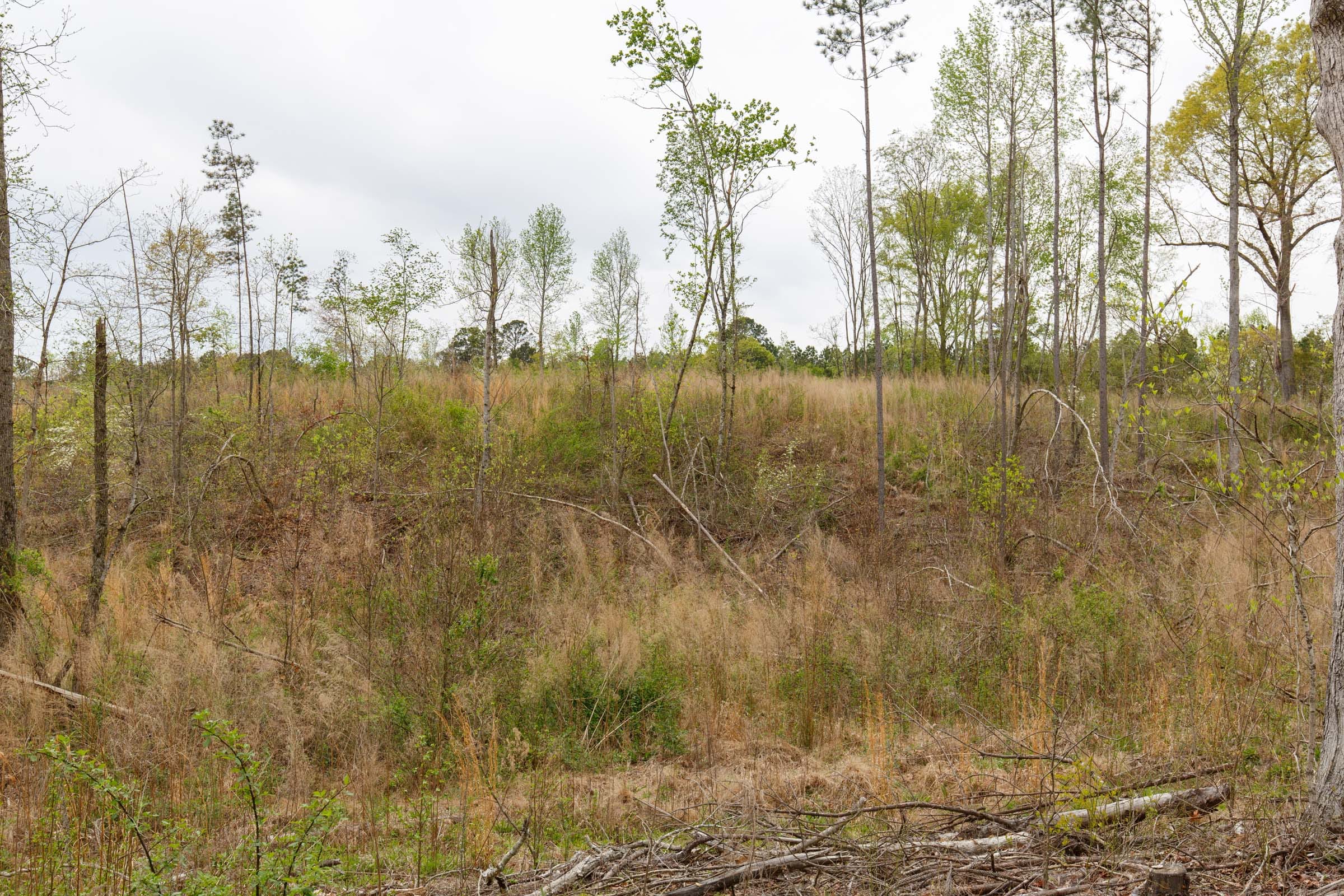 Twin Rivers Tract 12 photo 7