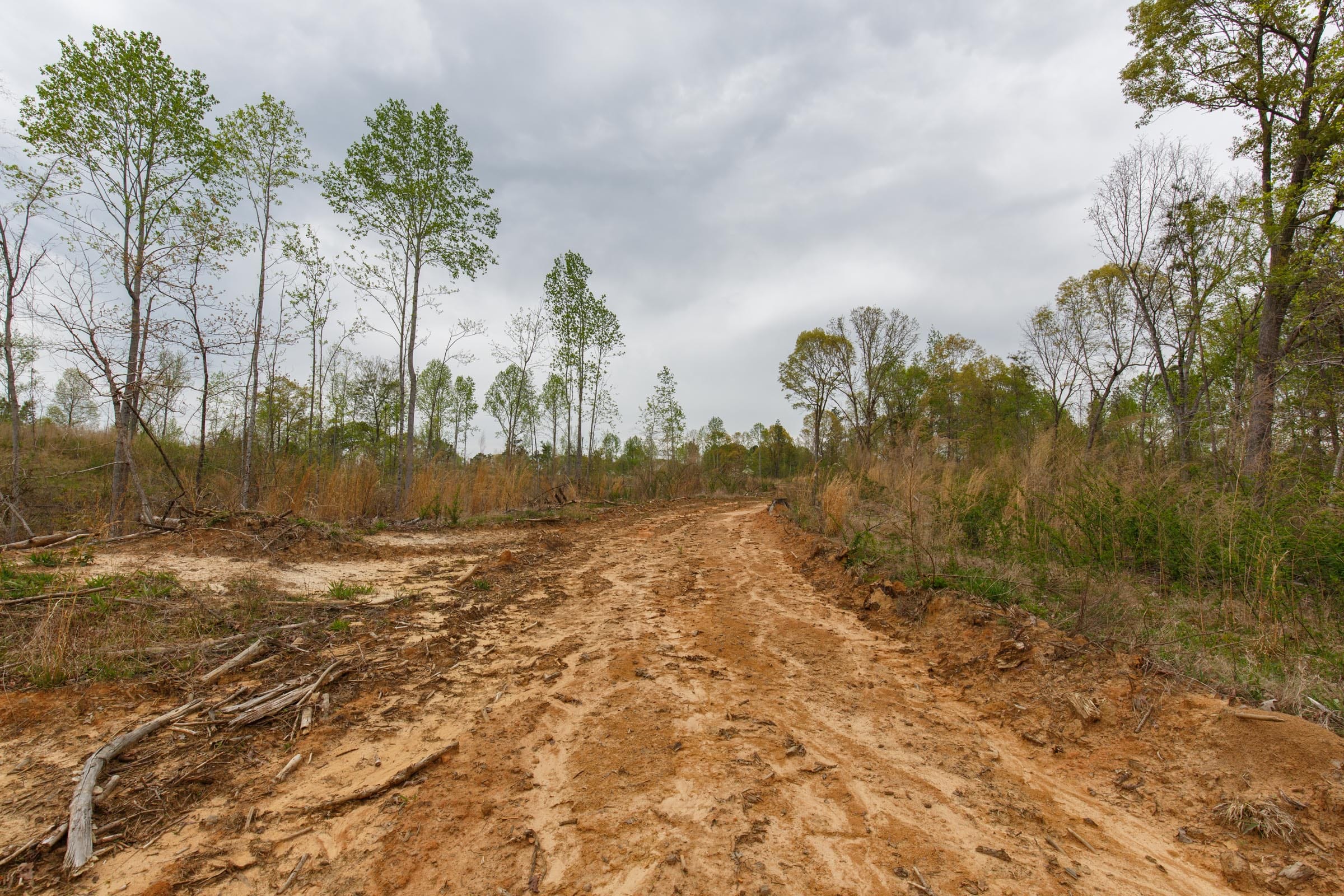 Twin Rivers Tract 12 photo 6