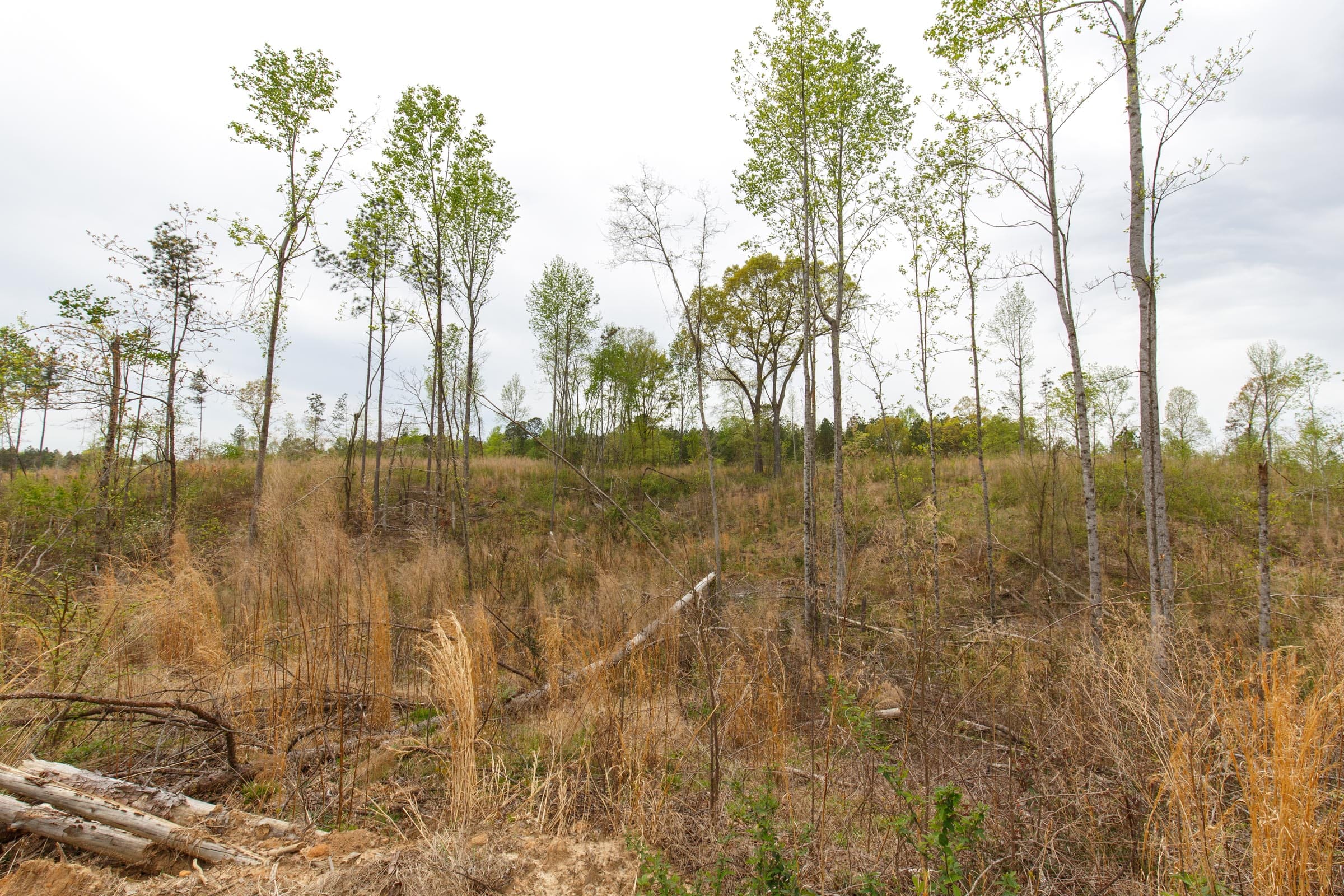 Twin Rivers Tract 12 photo 8