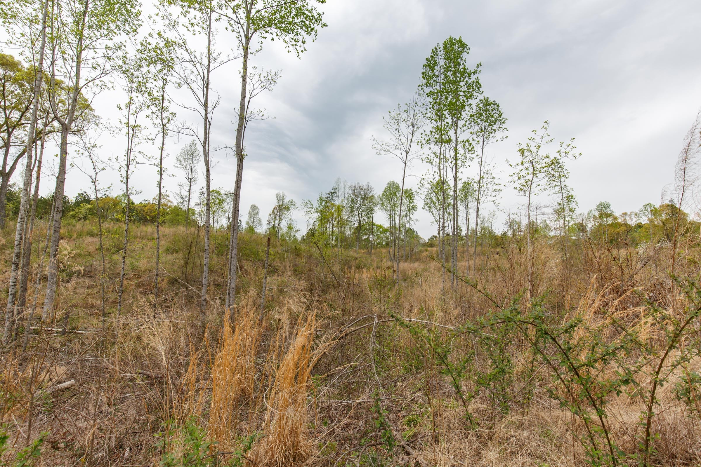 Twin Rivers Tract 12 photo 9