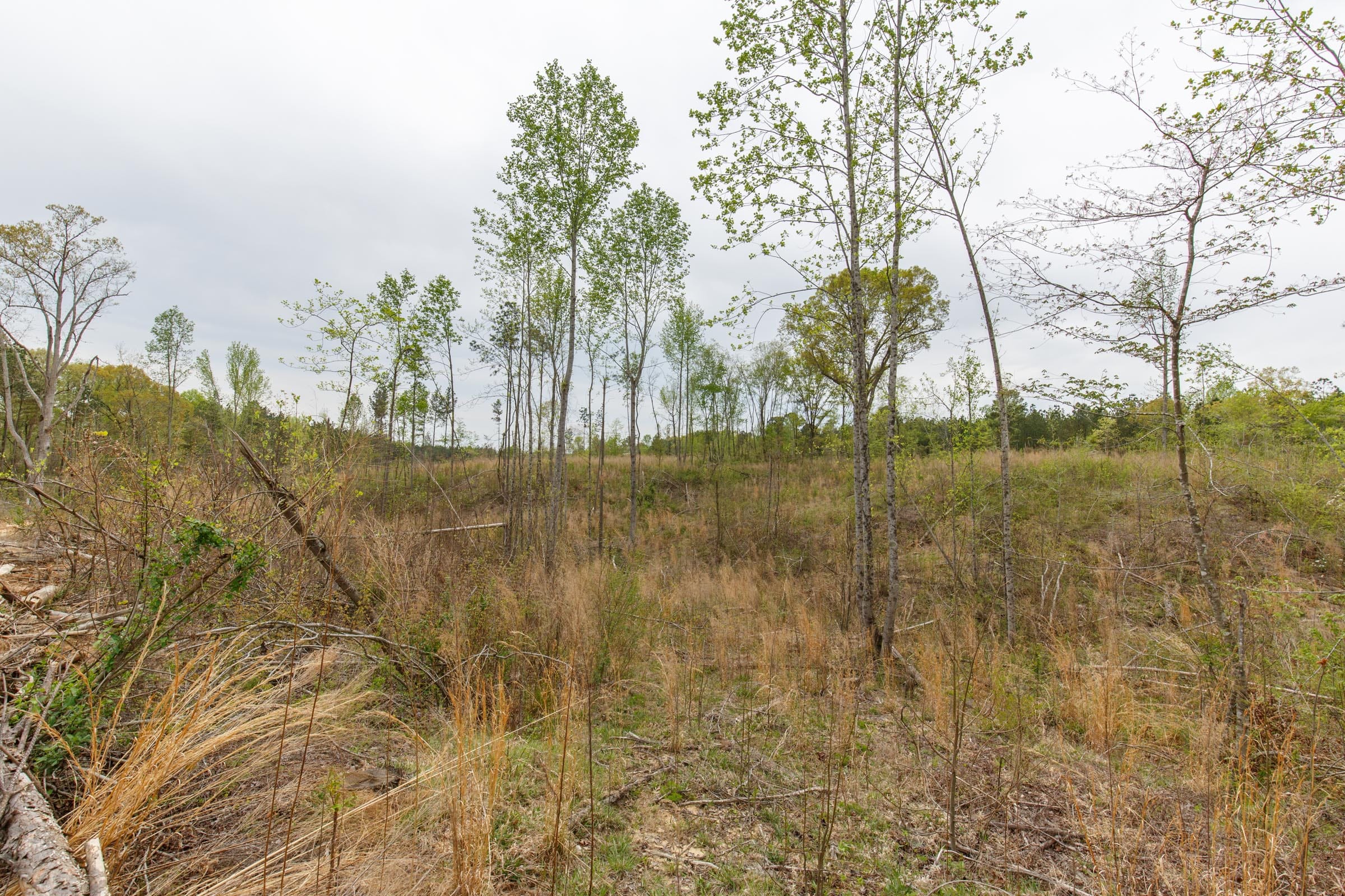 Twin Rivers Tract 12 photo 11