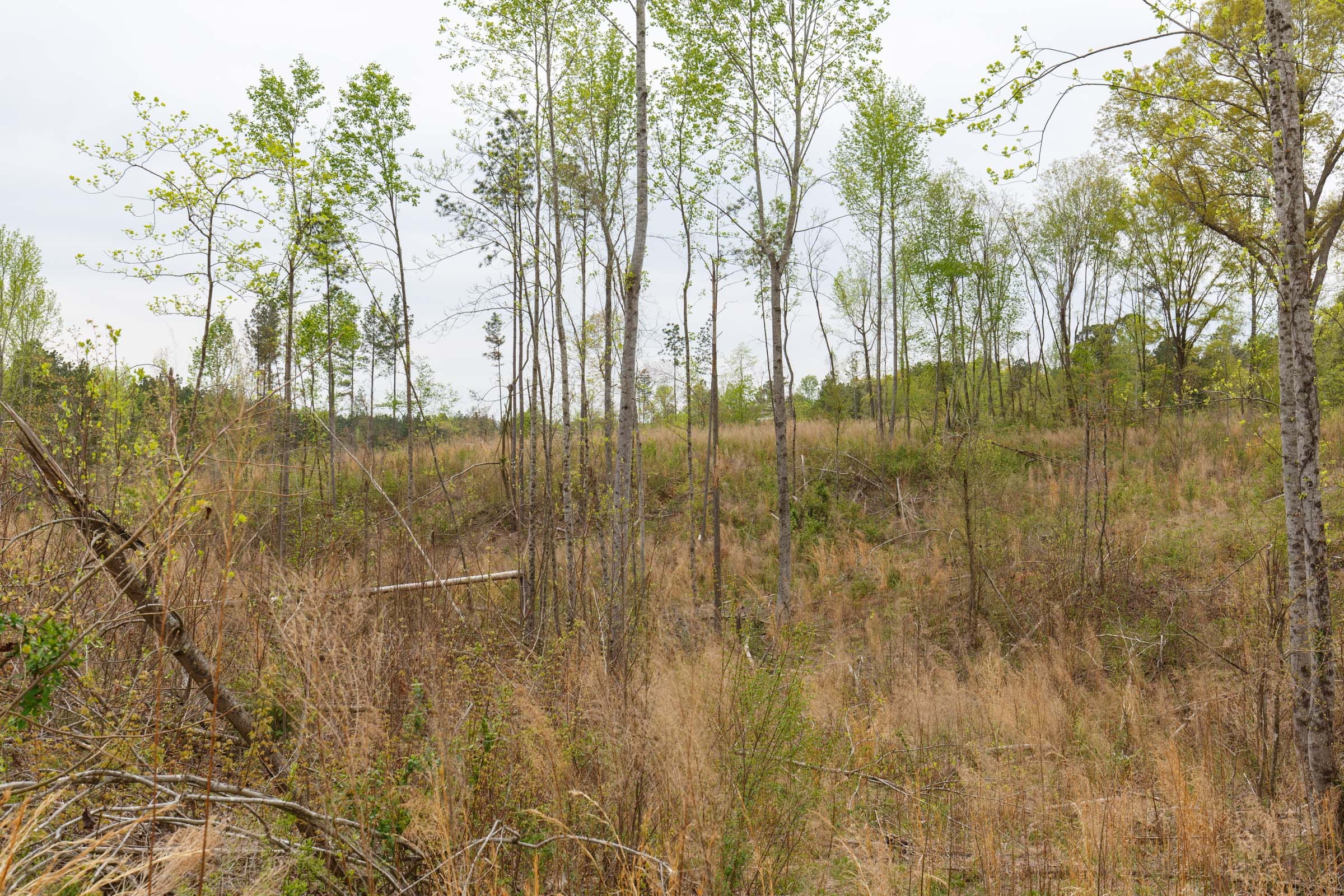 Twin Rivers Tract 12 photo 12