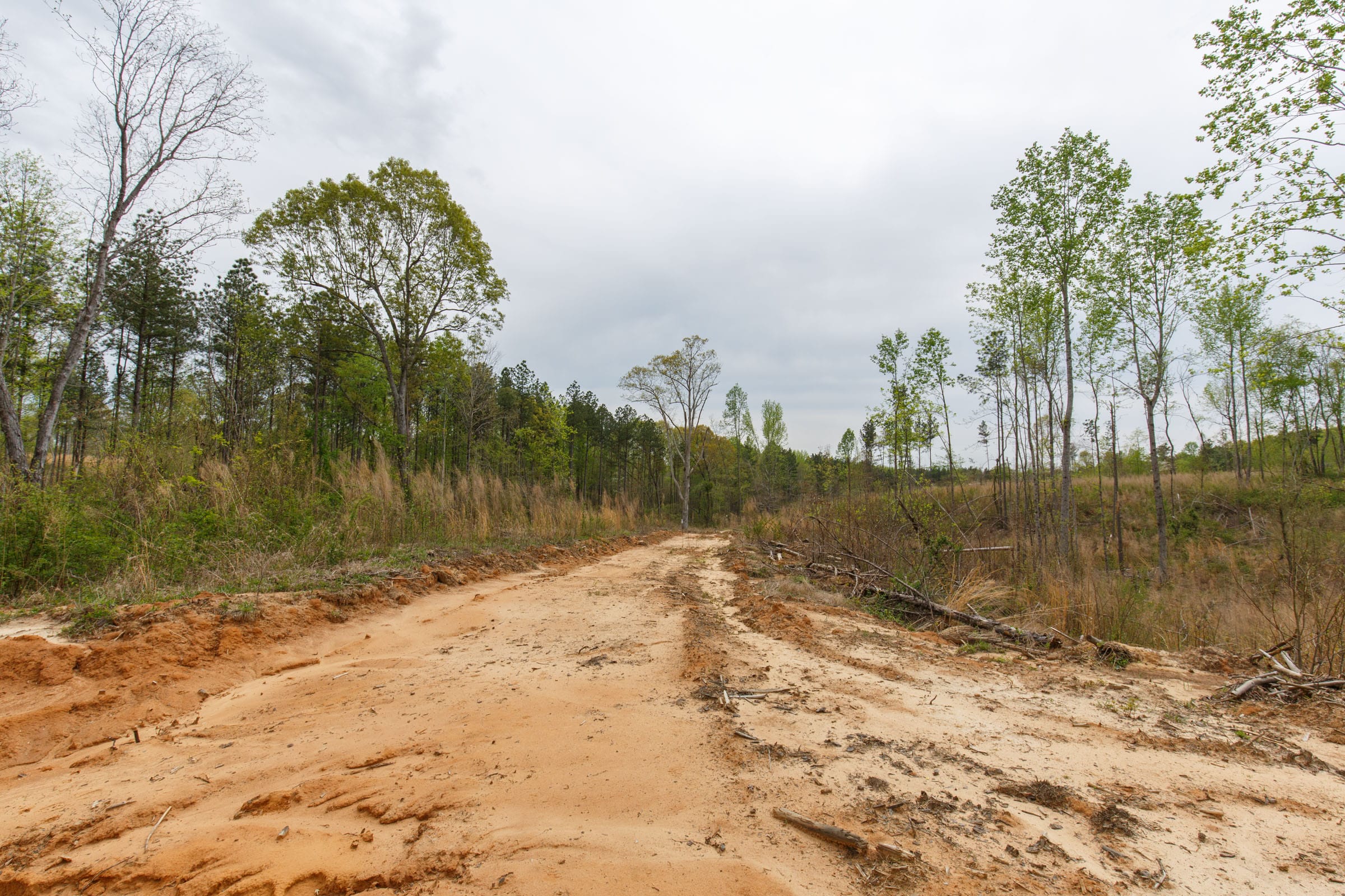 Twin Rivers Tract 12 photo 10