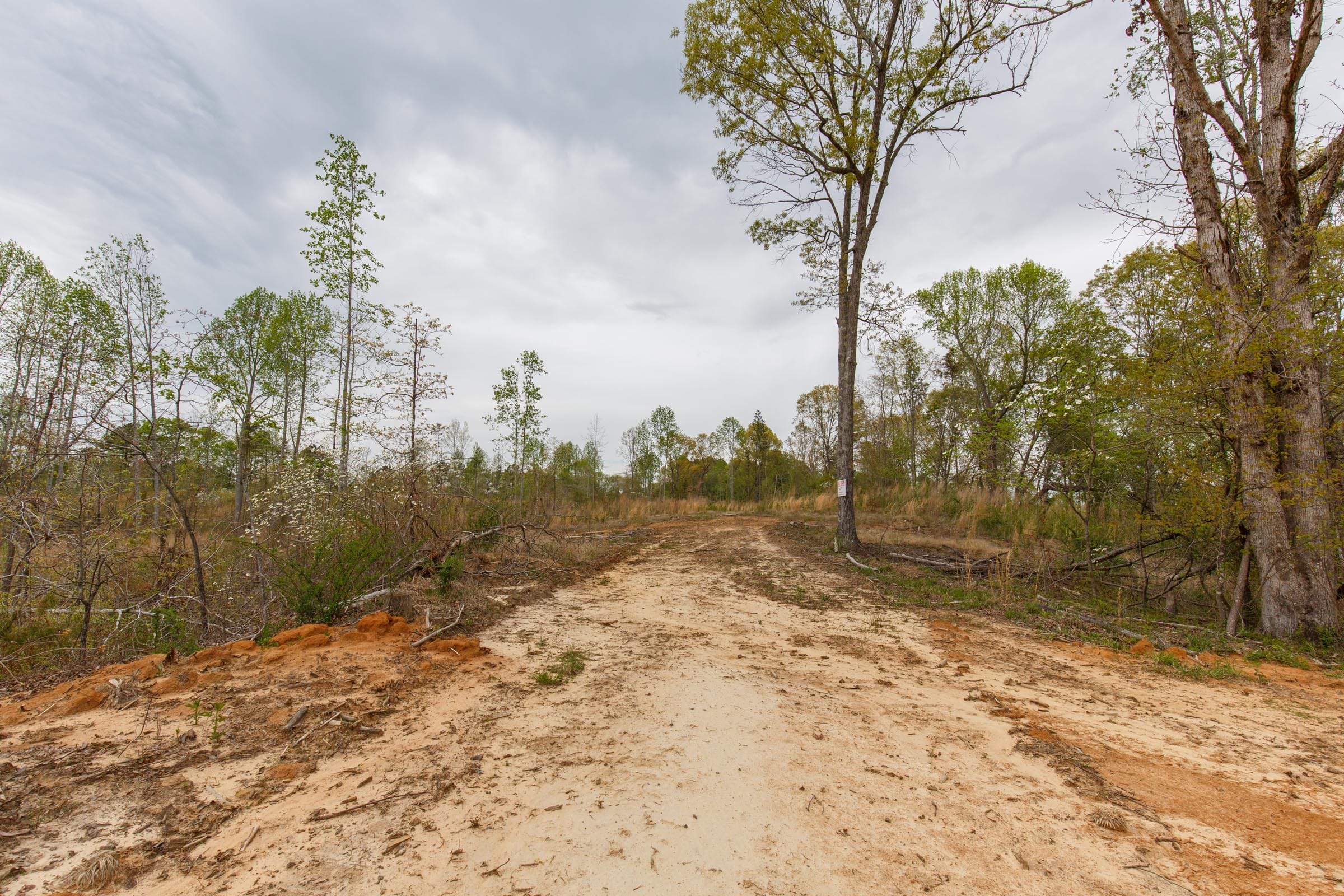 Twin Rivers Tract 12 photo 14
