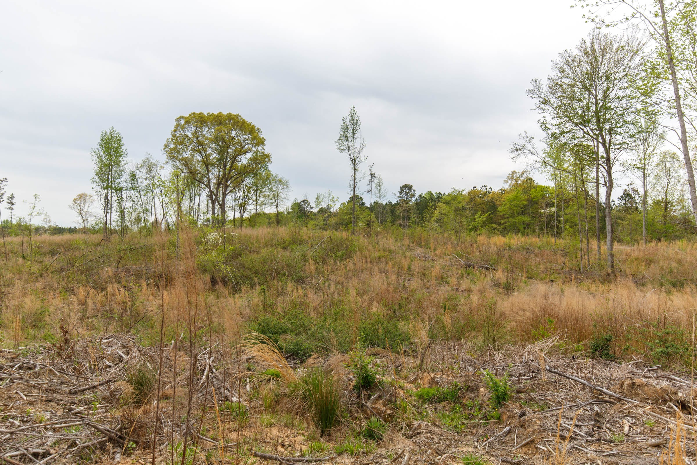 Twin Rivers Tract 12 photo 15