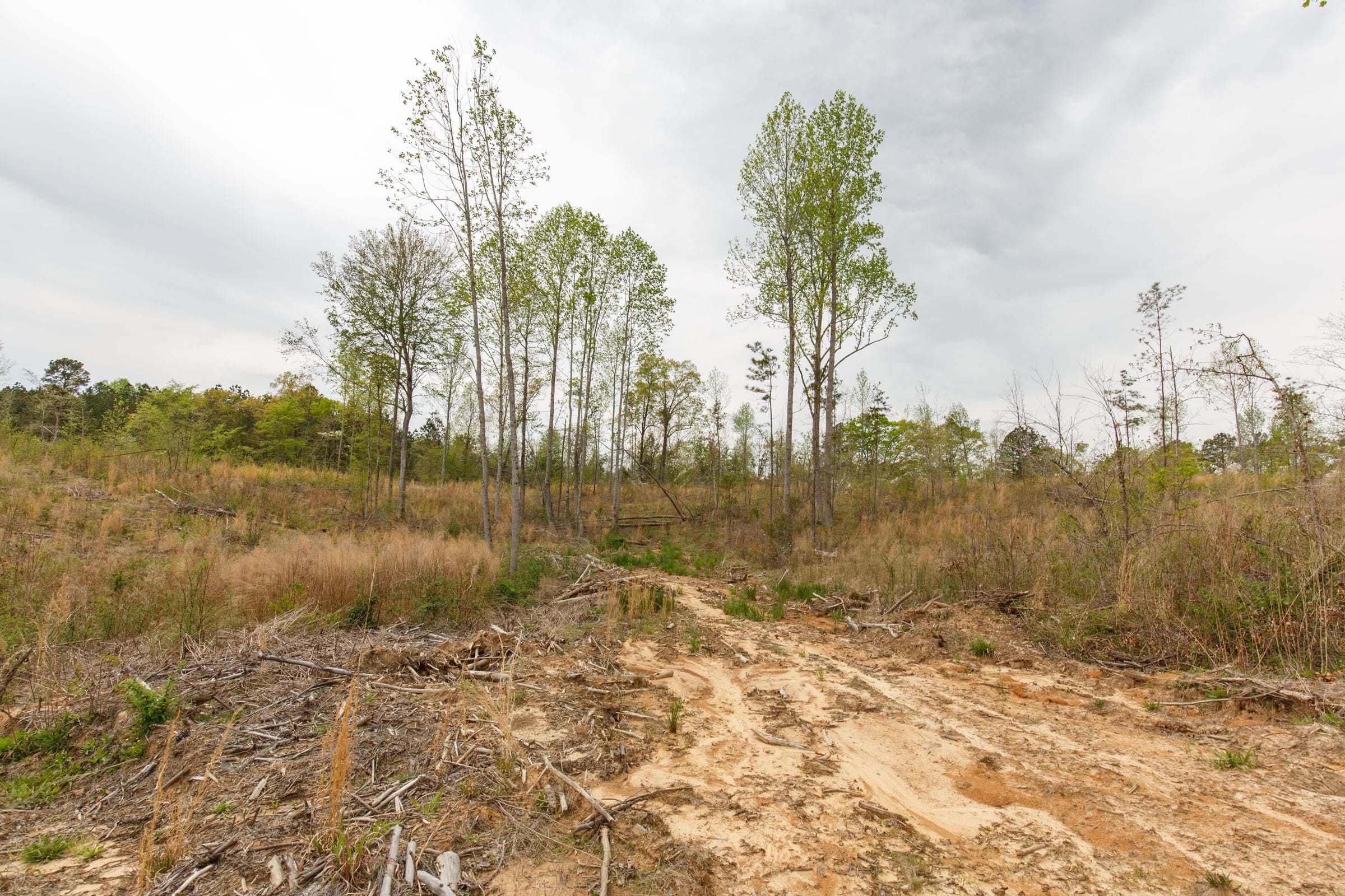 Twin Rivers Tract 12 photo 16