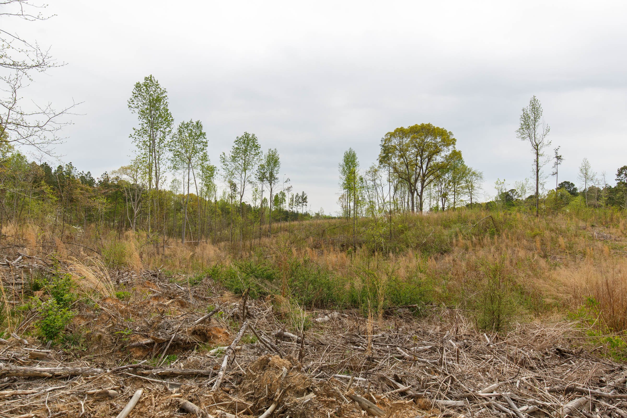 Twin Rivers Tract 12 photo 17