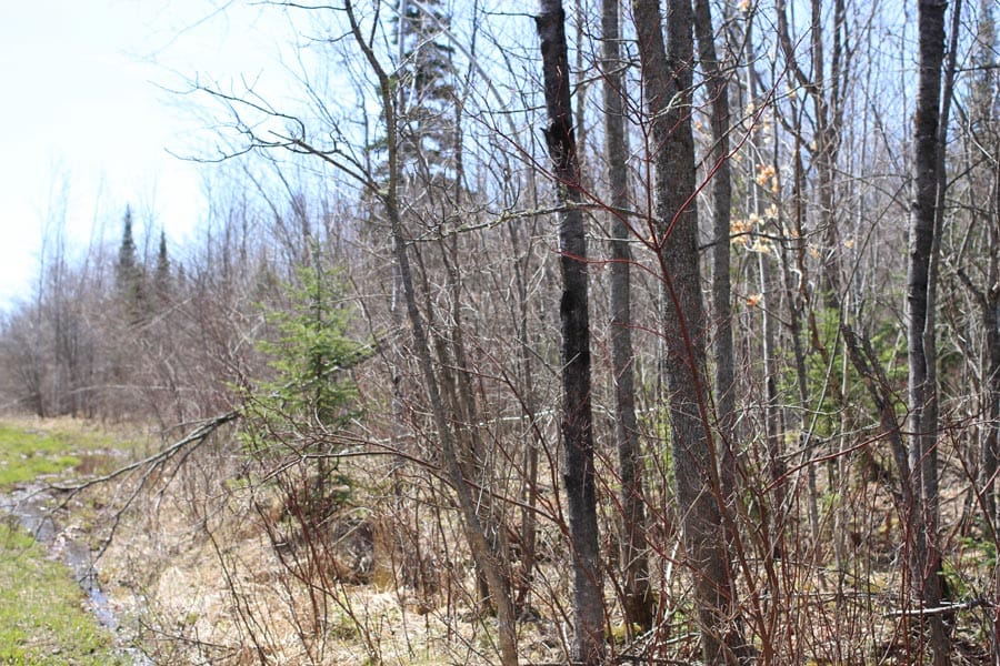 Abby Point Tract 2 photo 5