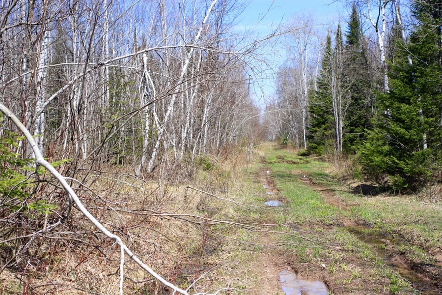 Abby Point Tract 2 photo 6