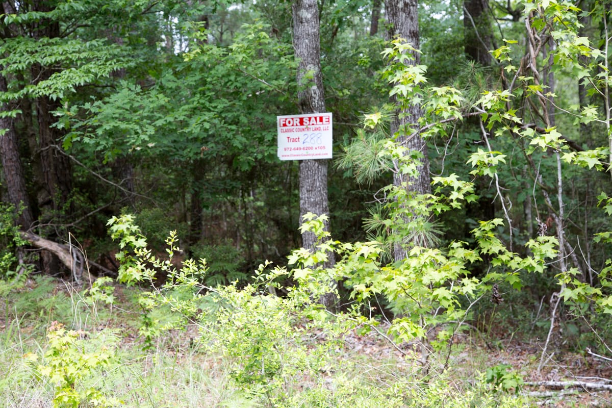 Rayburn Country Tract 288 photo 1