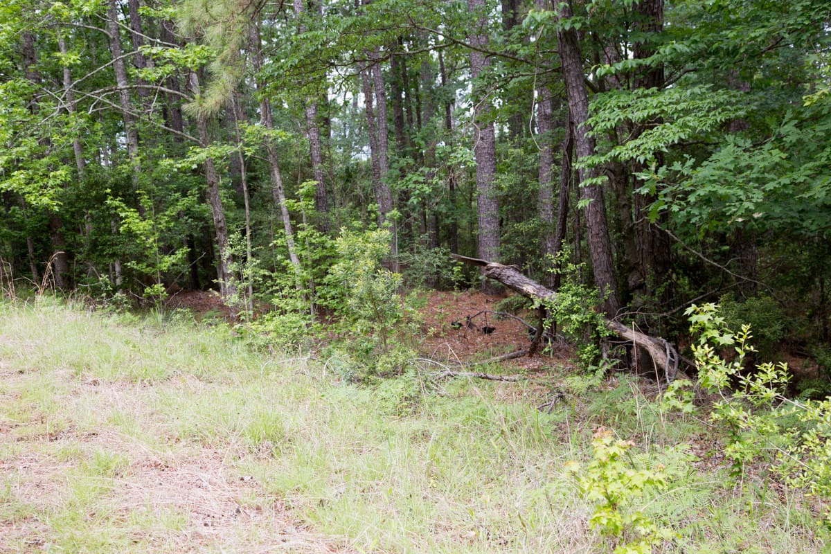 Rayburn Country Tract 288 photo 2