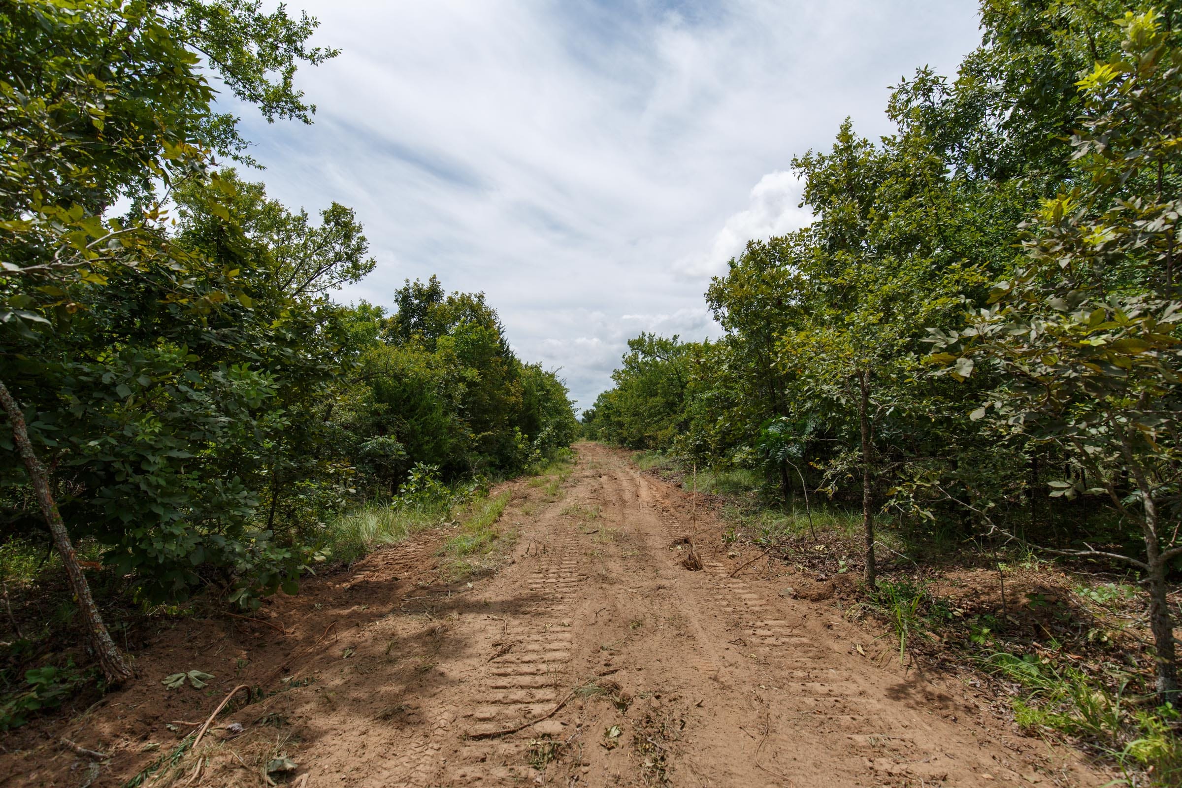 Timber Ridge Tract 22 photo 2
