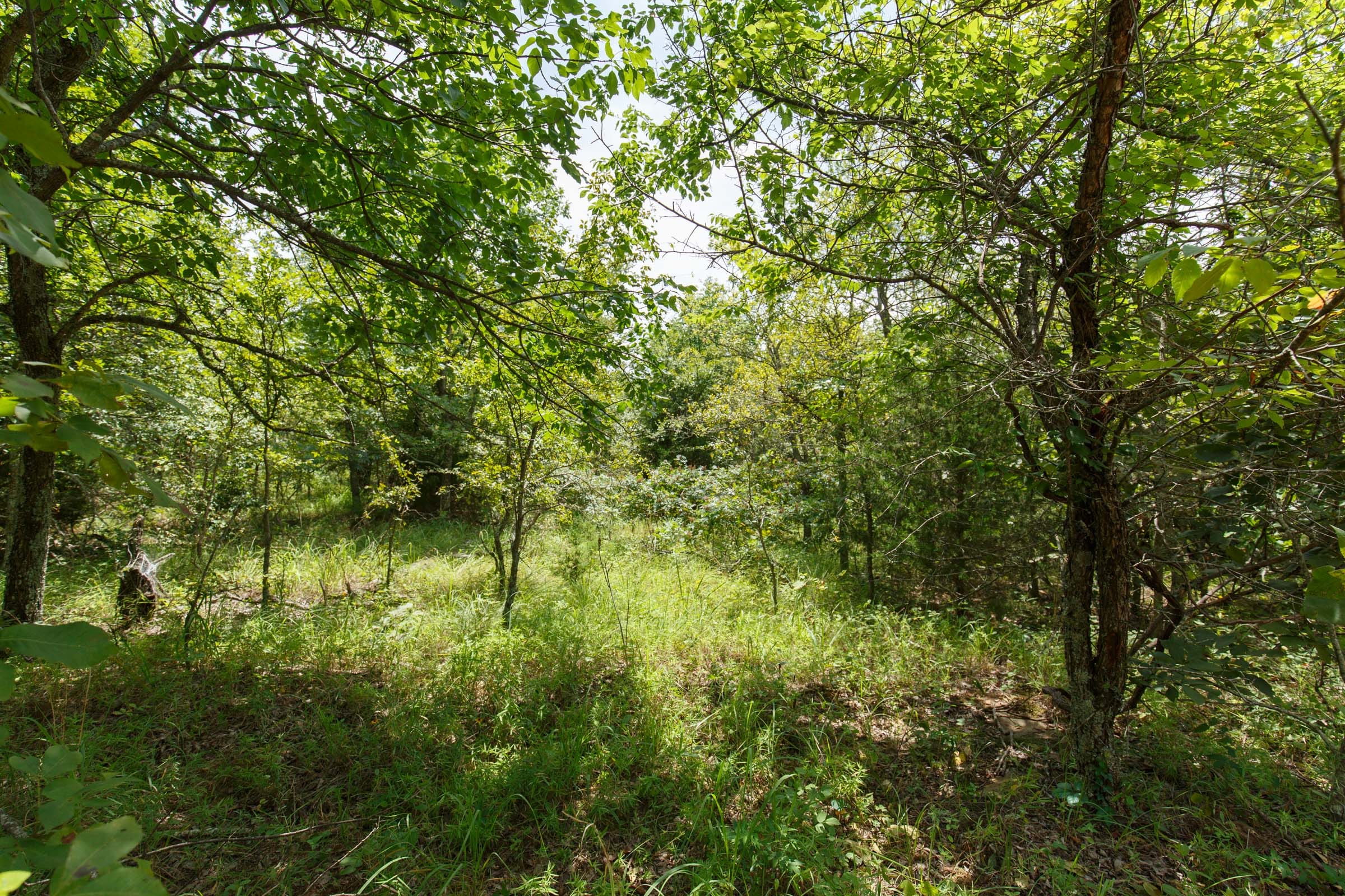 Timber Ridge Tract 22 photo 1