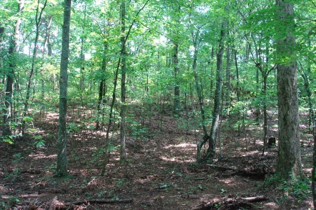 Sugartree Falls Tract 38 photo 1