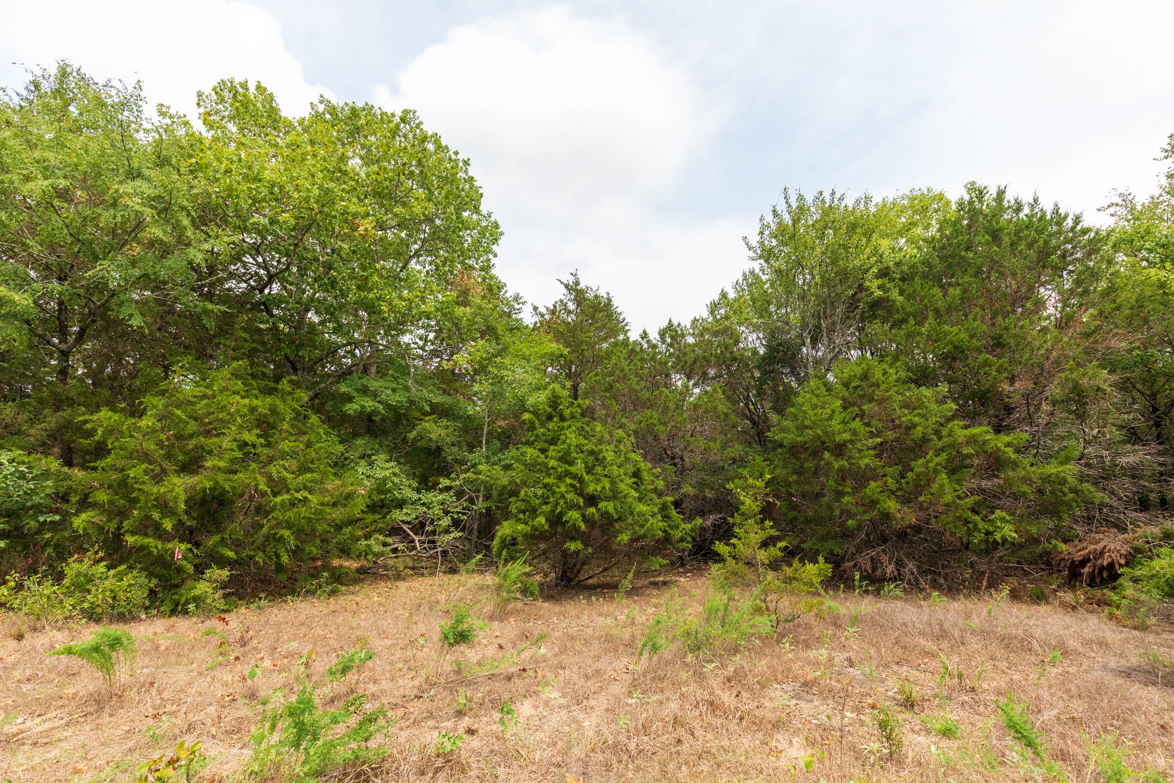 Heritage Bend Tract 25 photo 3