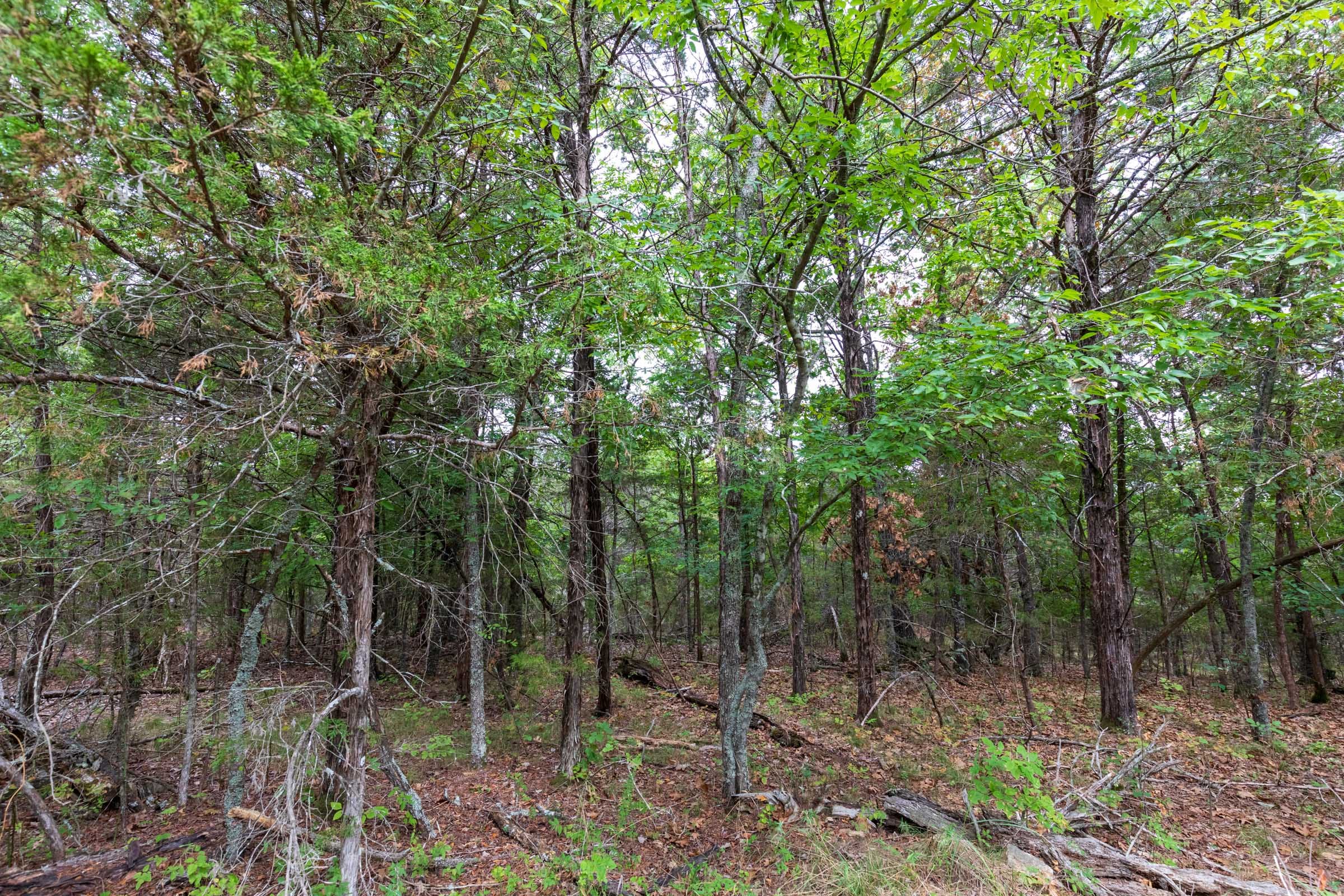 Heritage Bend Tract 25 photo 4