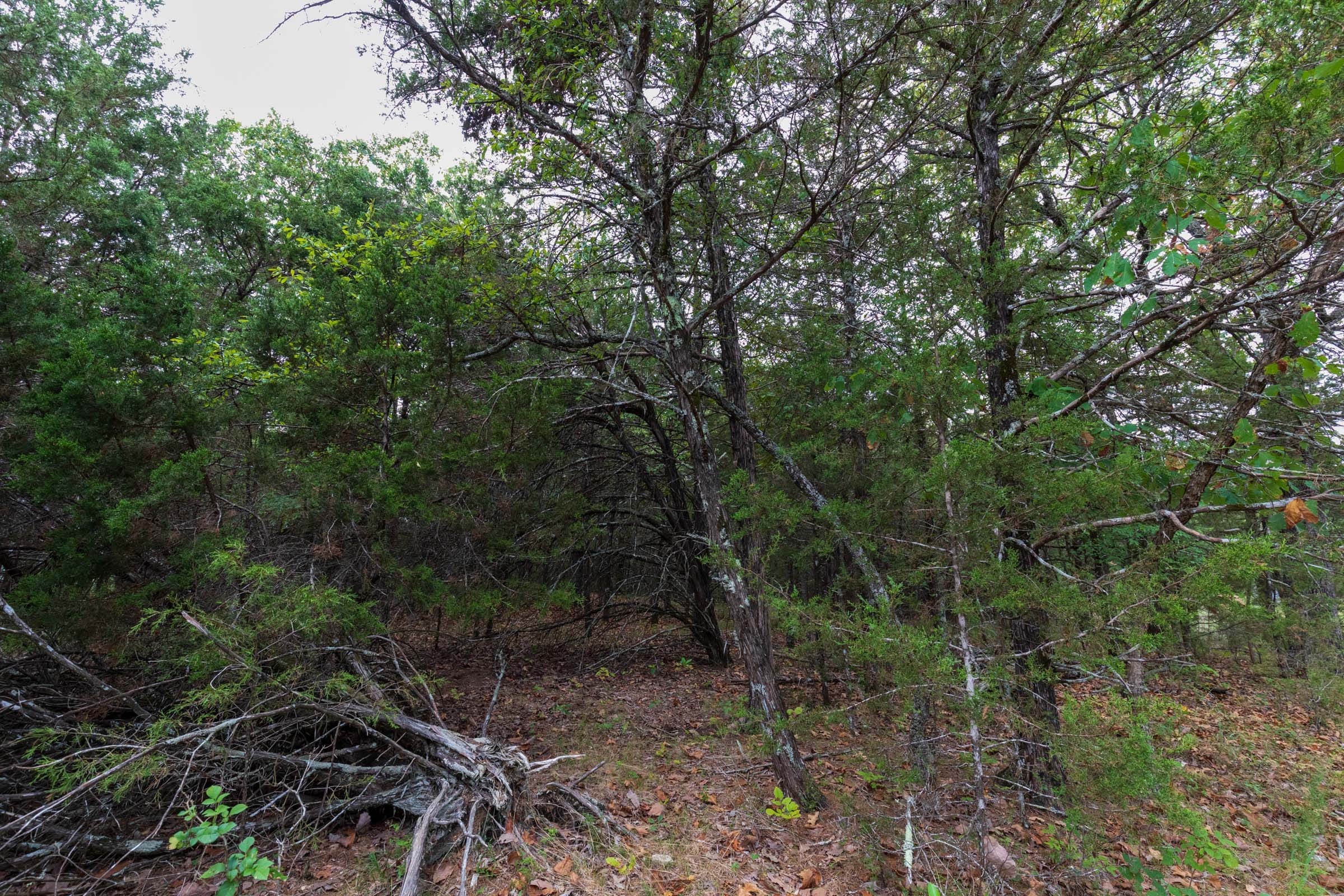 Heritage Bend Tract 25 photo 15