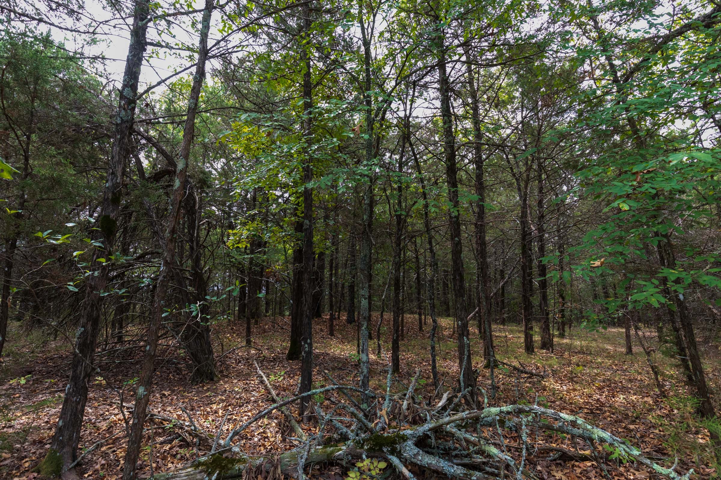 Heritage Bend Tract 25 photo 8