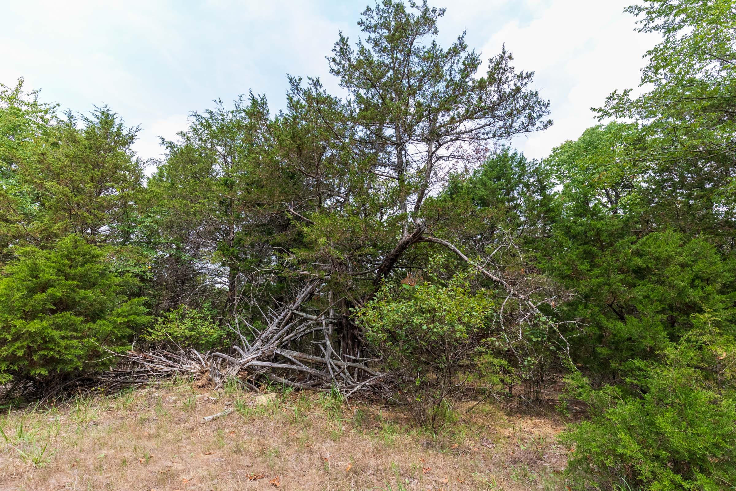 Heritage Bend Tract 25 photo 5