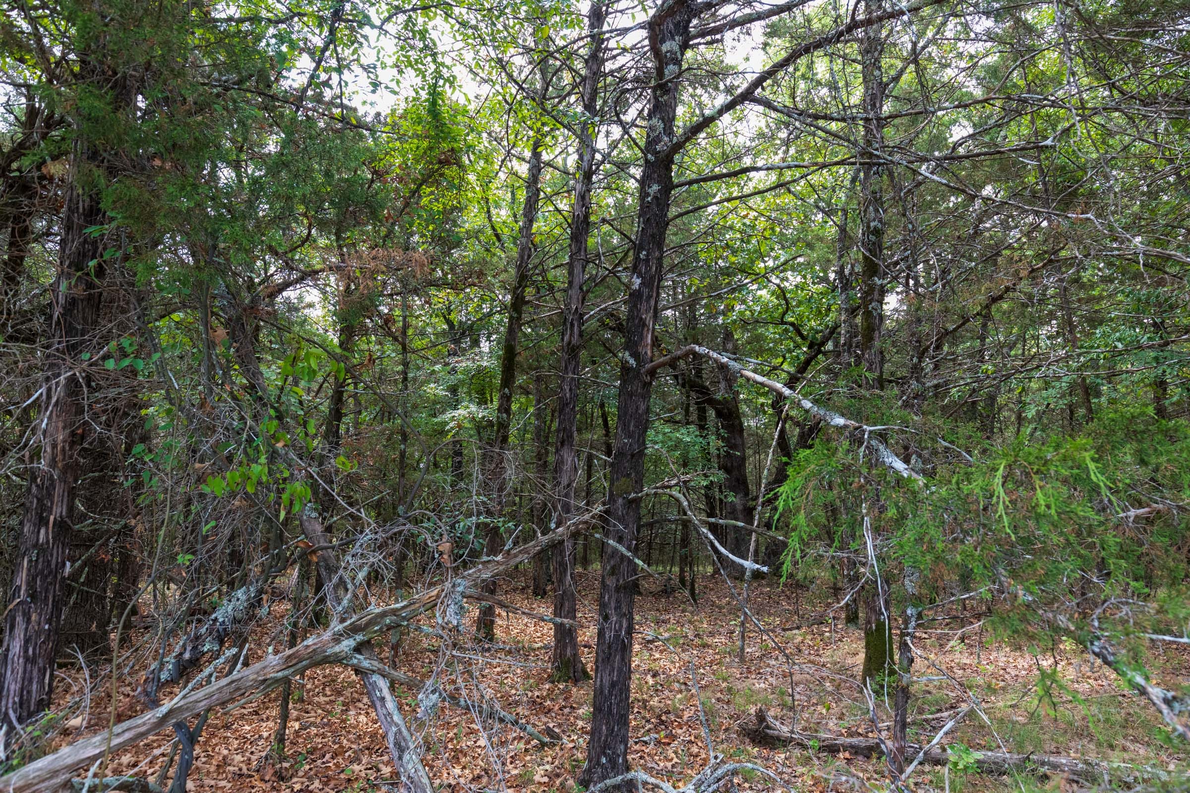 Heritage Bend Tract 25 photo 11
