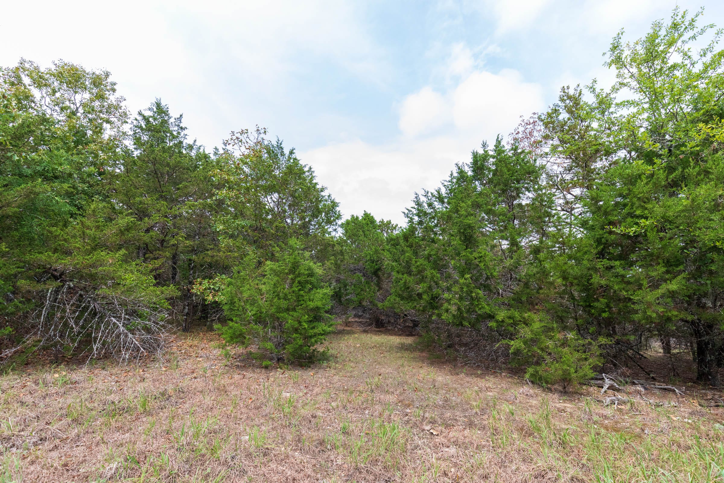 Heritage Bend Tract 25 photo 12