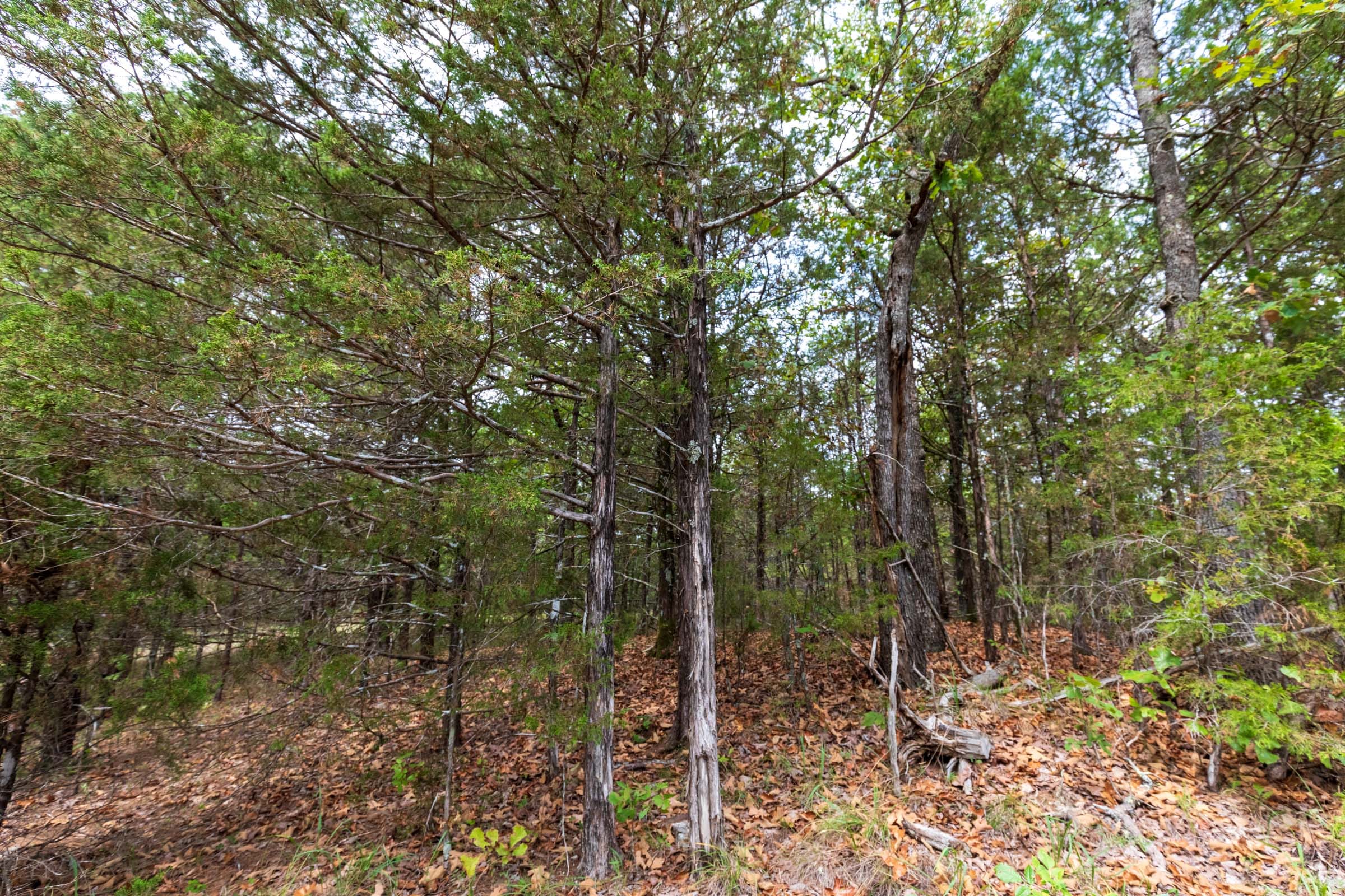 Heritage Bend Tract 25 photo 7