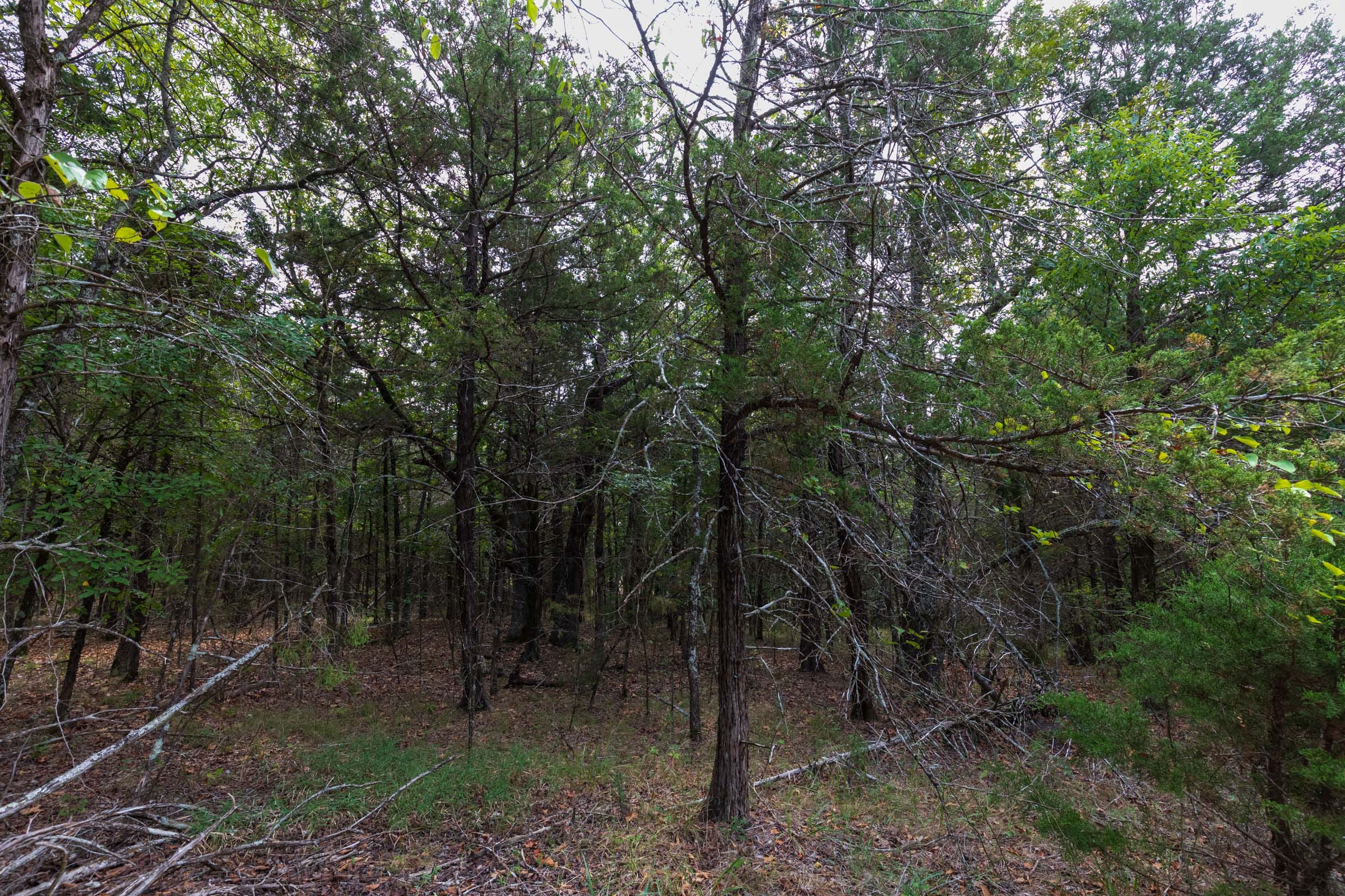 Heritage Bend Tract 25 photo 13