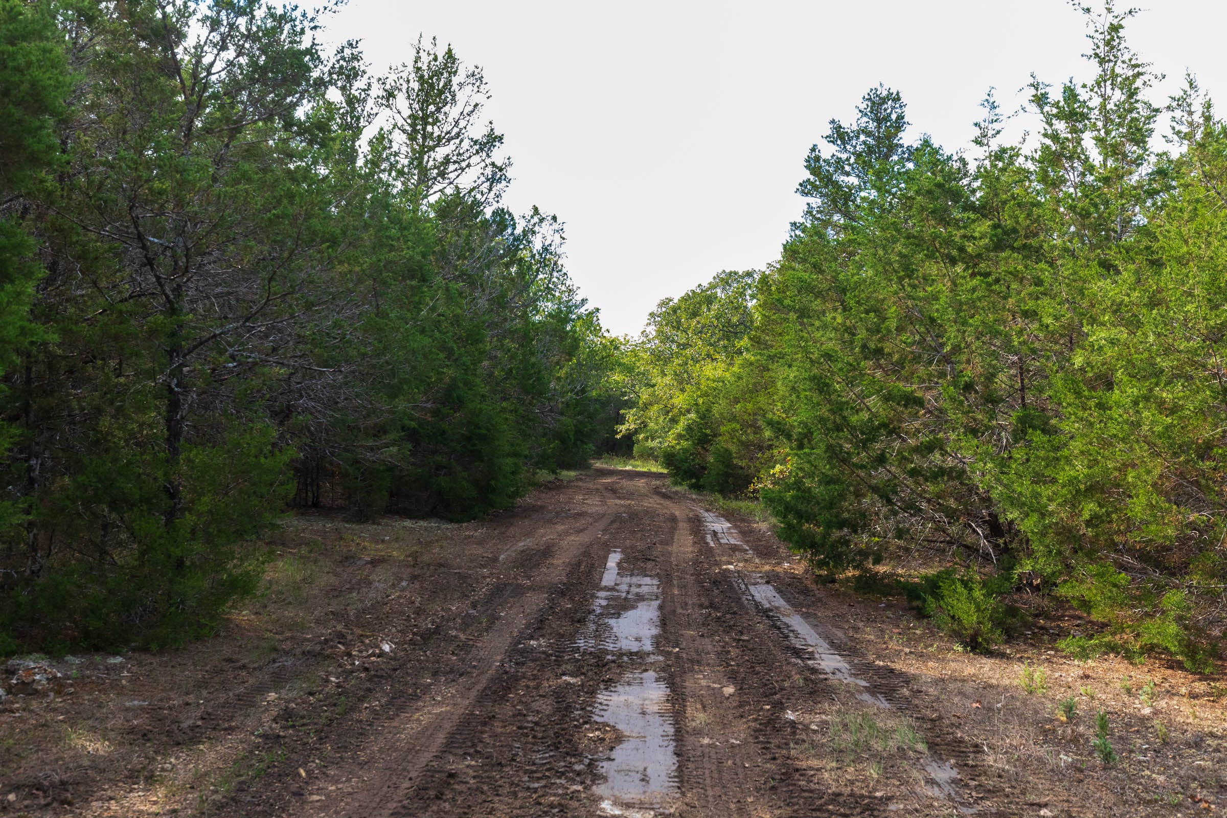Heritage Bend Tract 25 photo 2