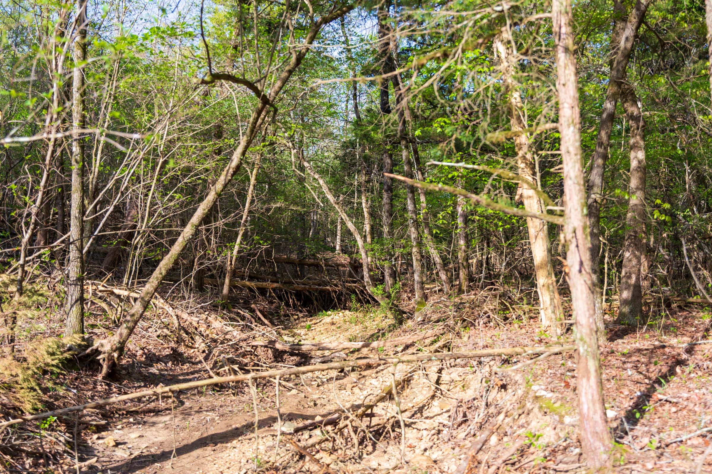 Autumnwood Tract 17 photo 1