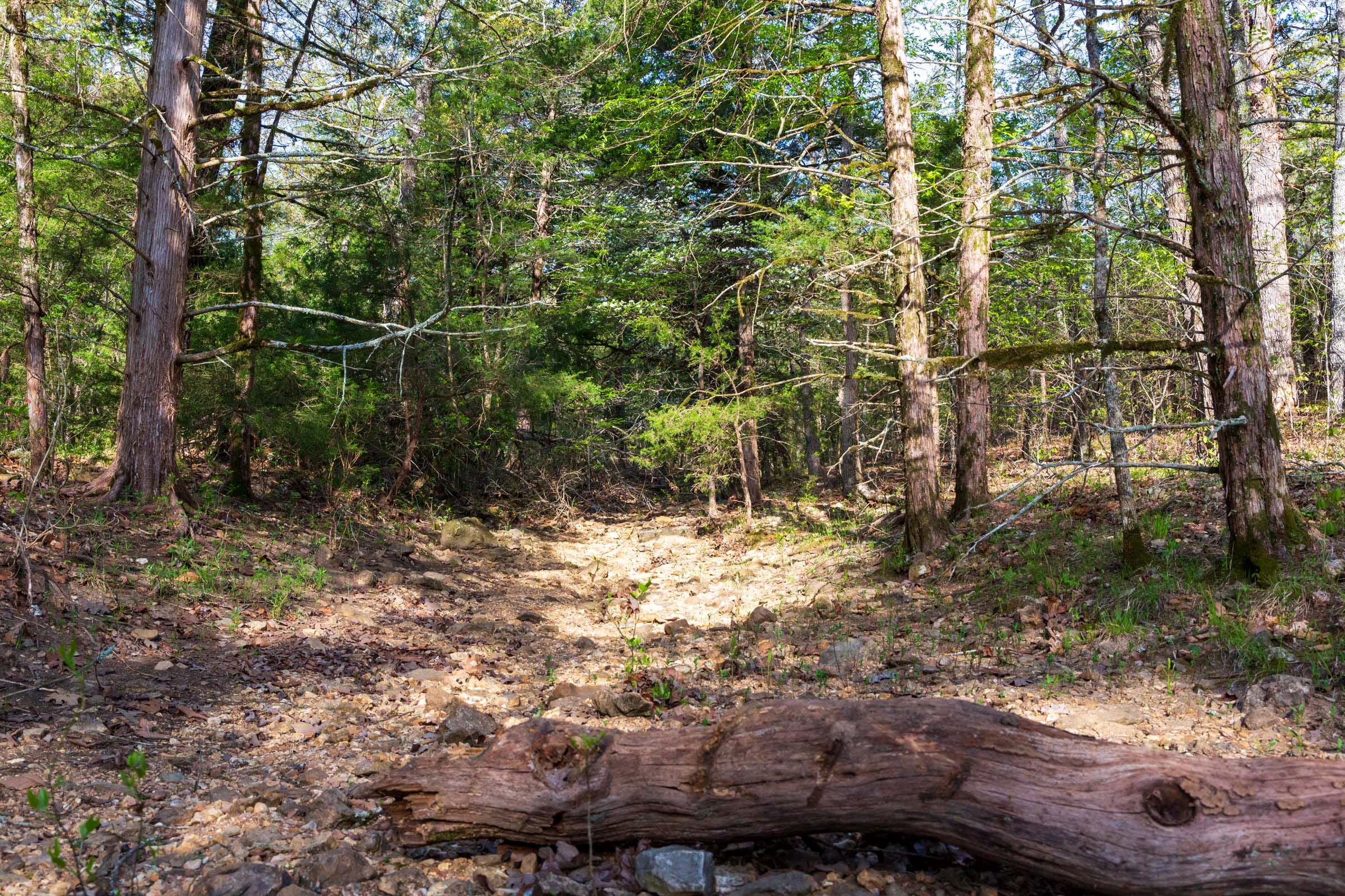 Autumnwood Tract 17 photo 5