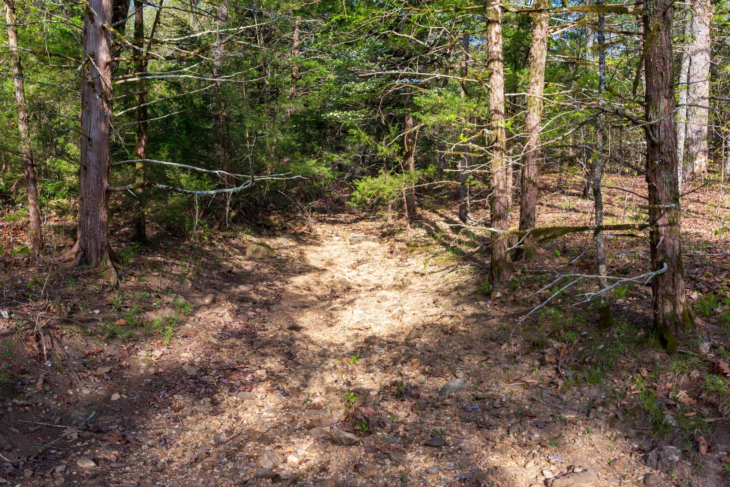 Autumnwood Tract 17 photo 6