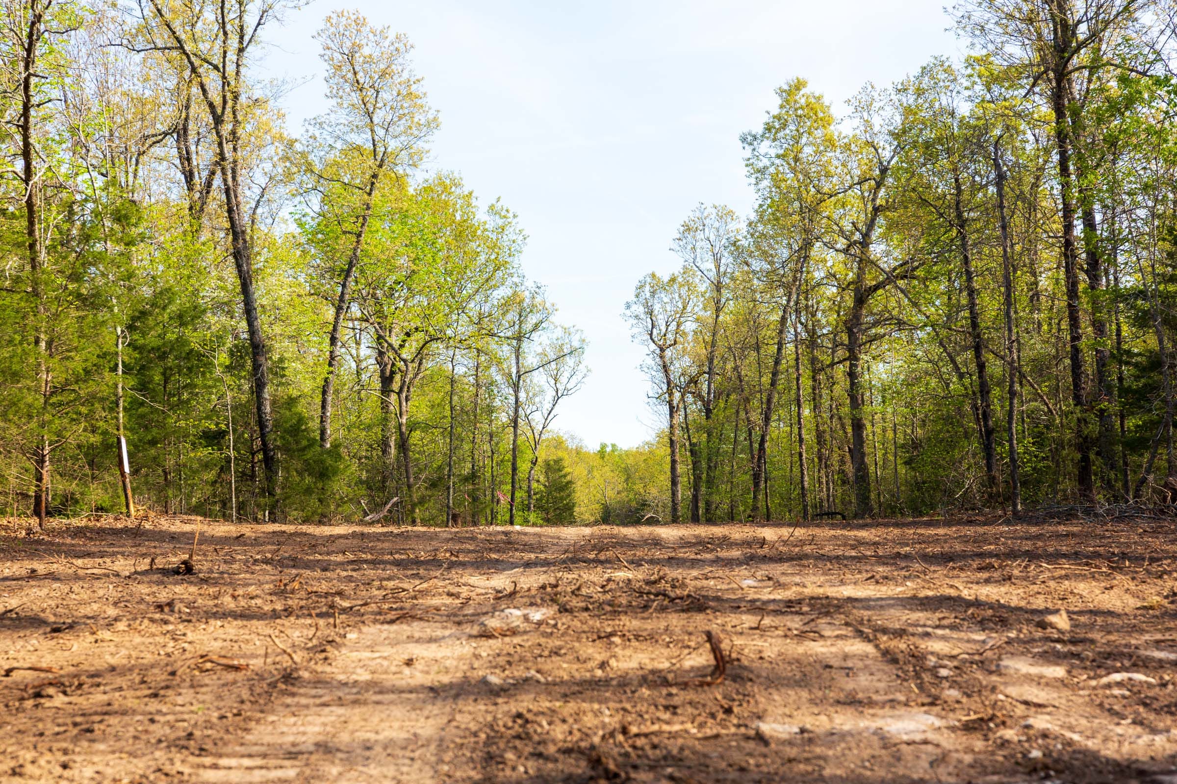 Autumnwood Tract 17 photo 11