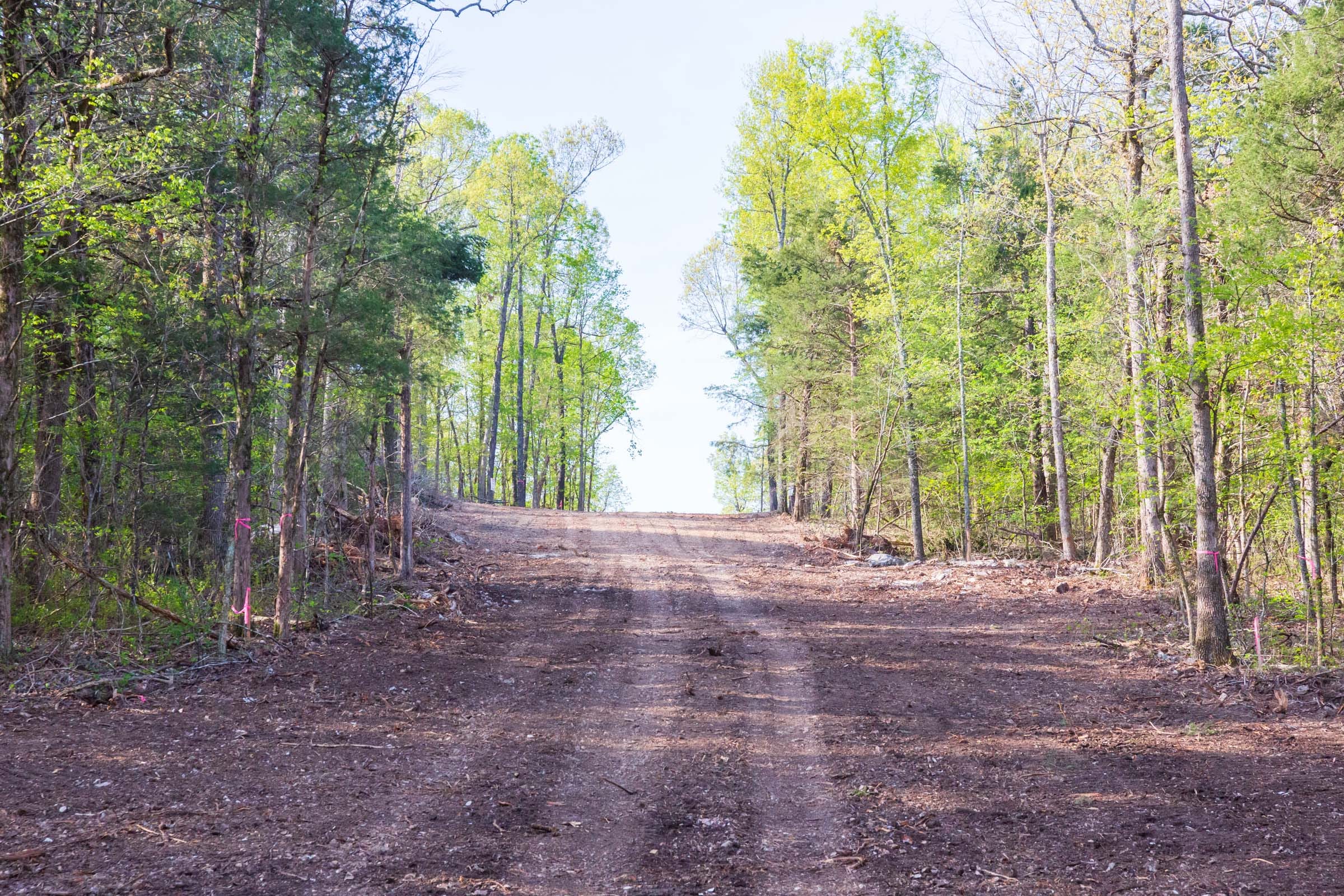 Autumnwood Tract 17 photo 12