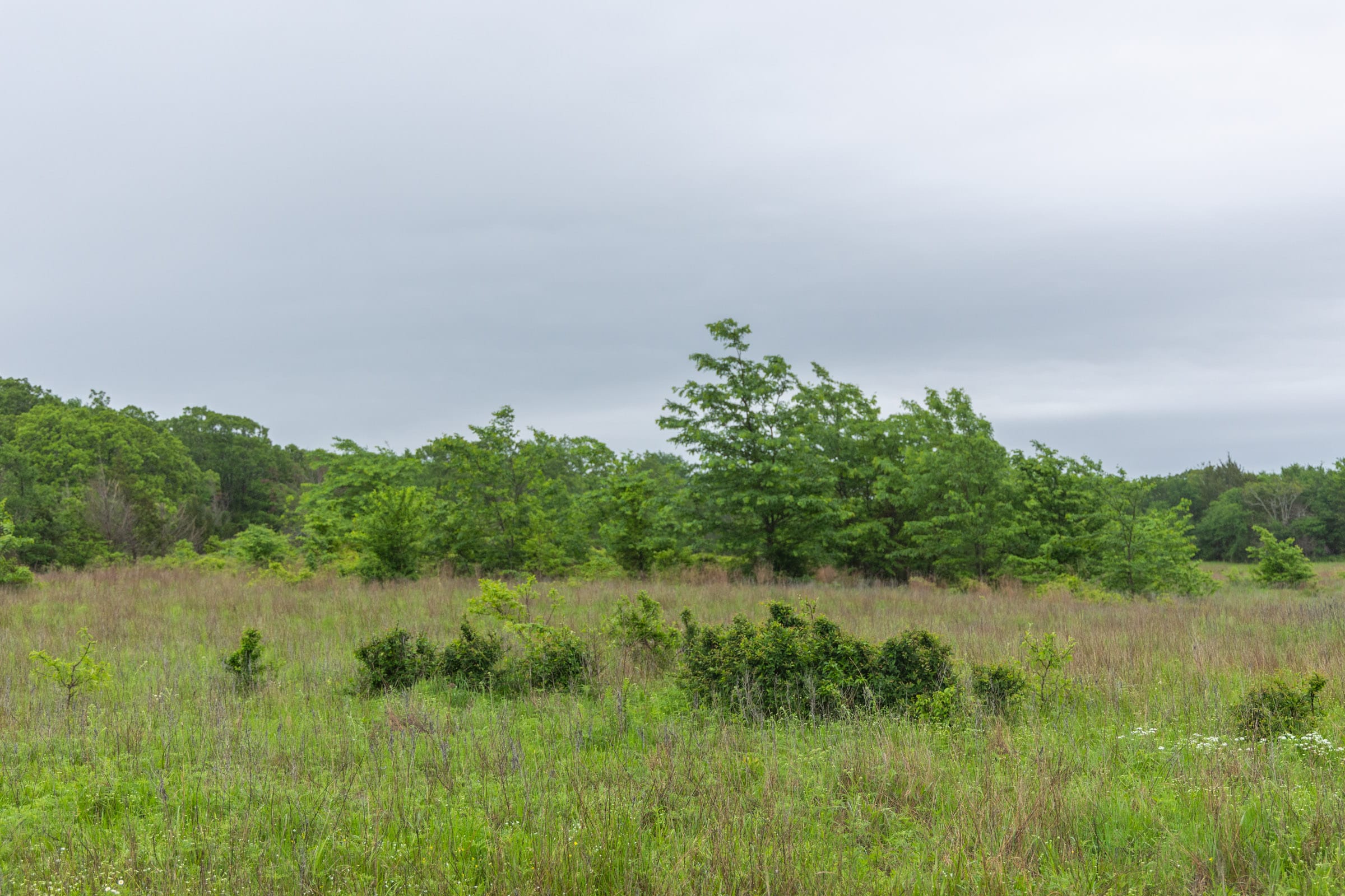 Harmony Hills Tract 7 photo 1