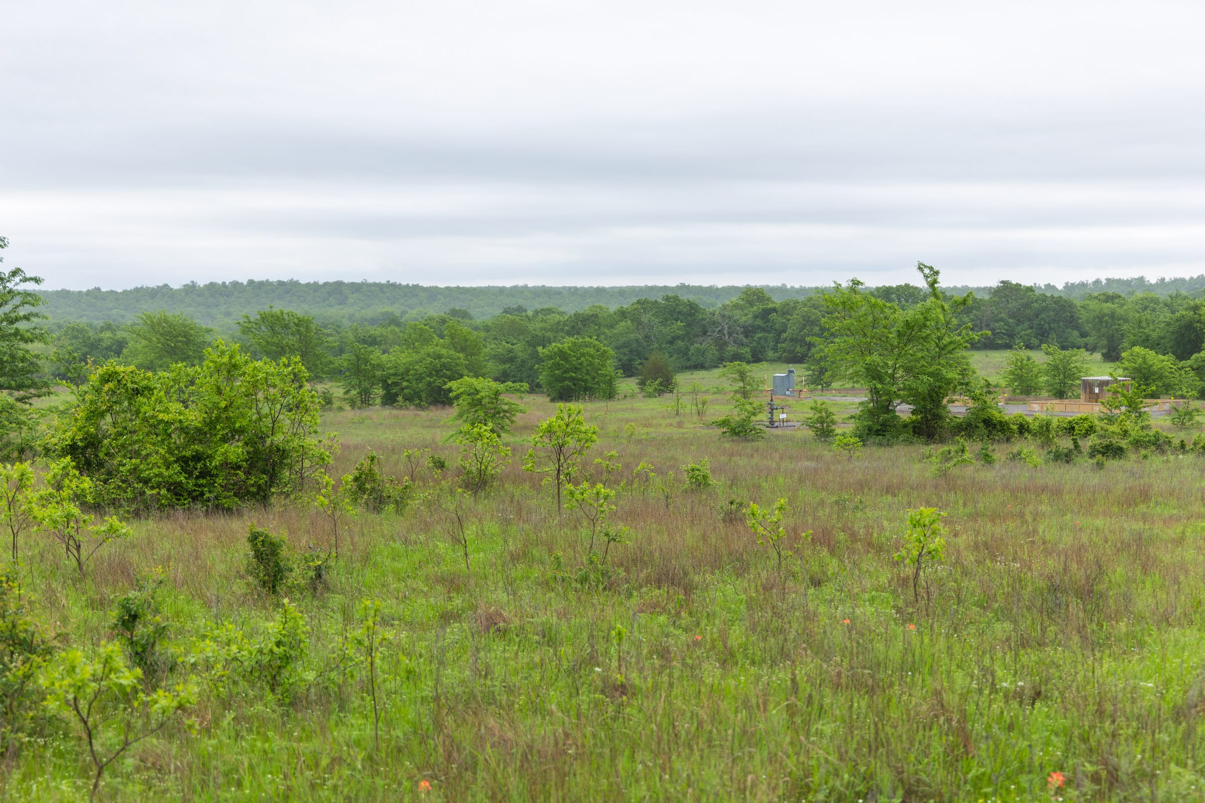 Harmony Hills Tract 7 photo 8