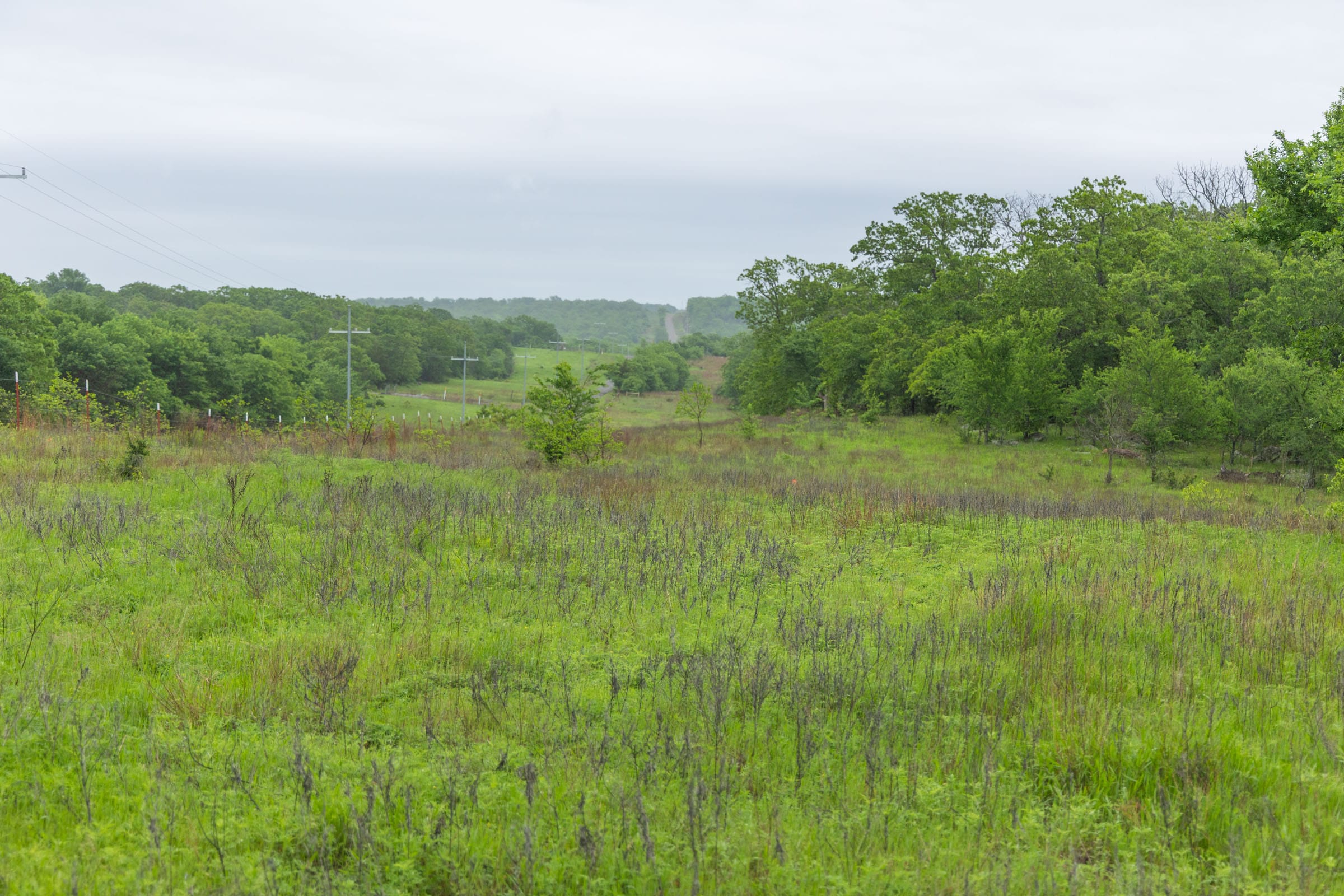 Harmony Hills Tract 7 photo 13