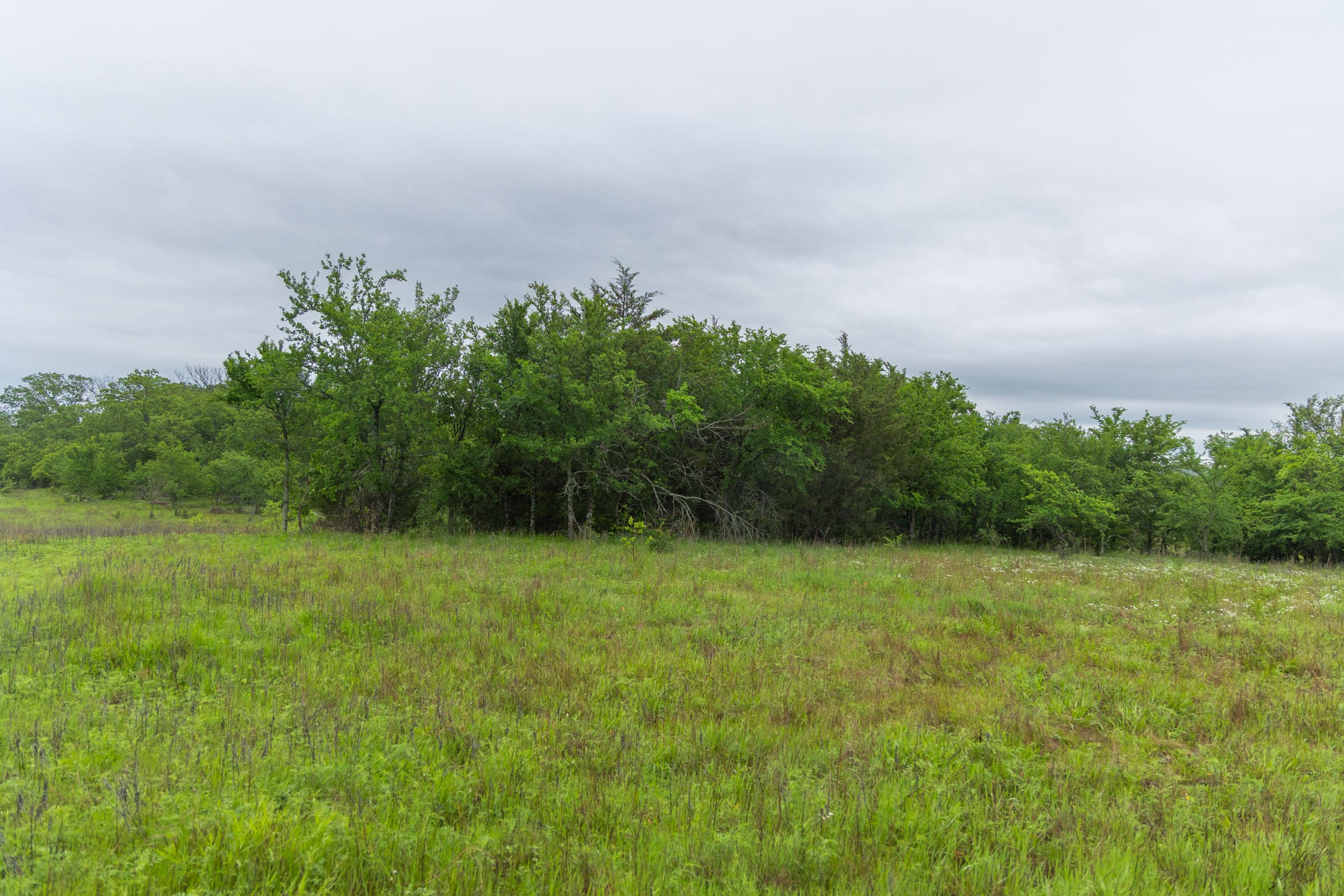 Harmony Hills Tract 7 photo 10
