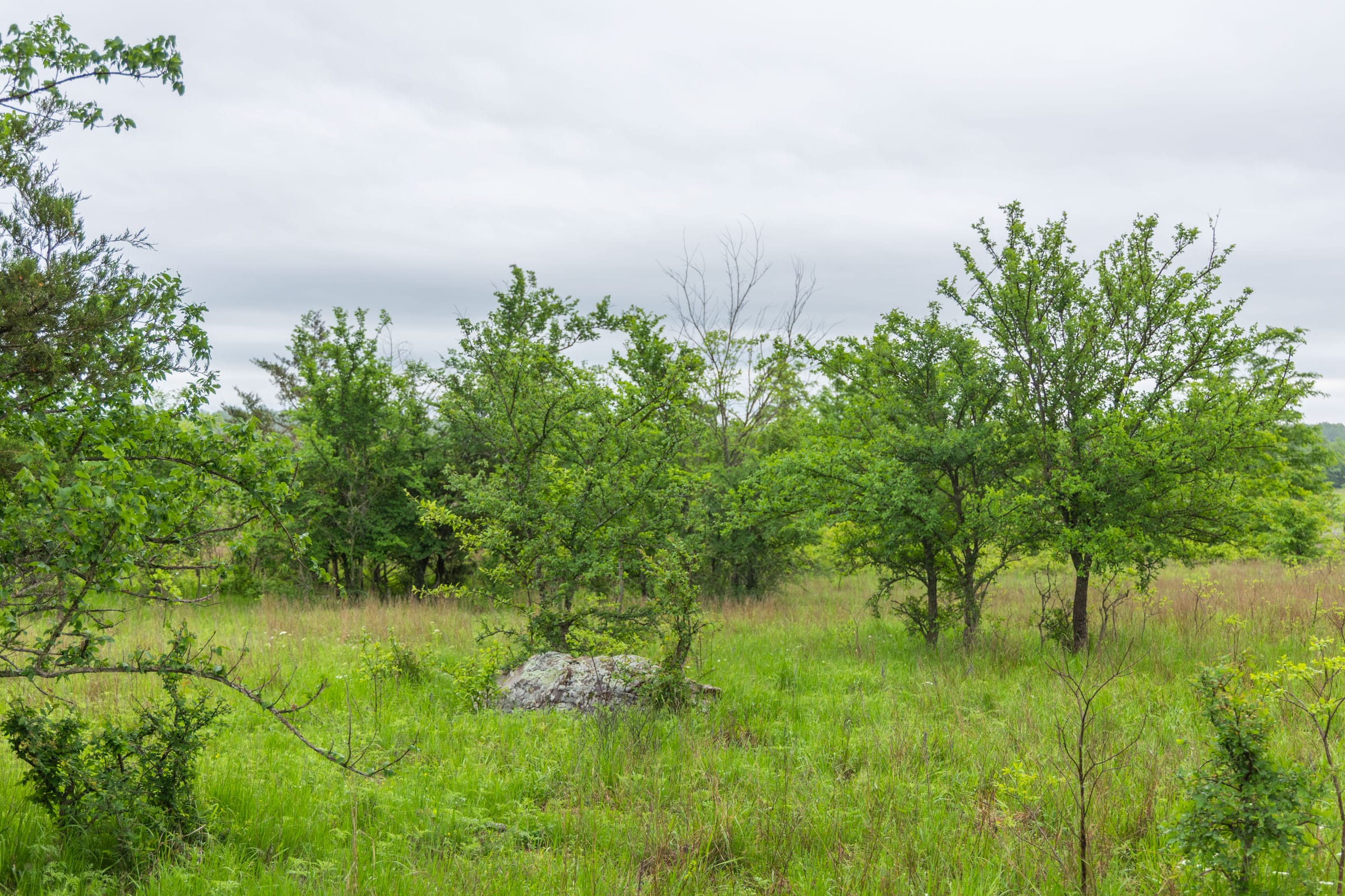 Harmony Hills Tract 7 photo 3