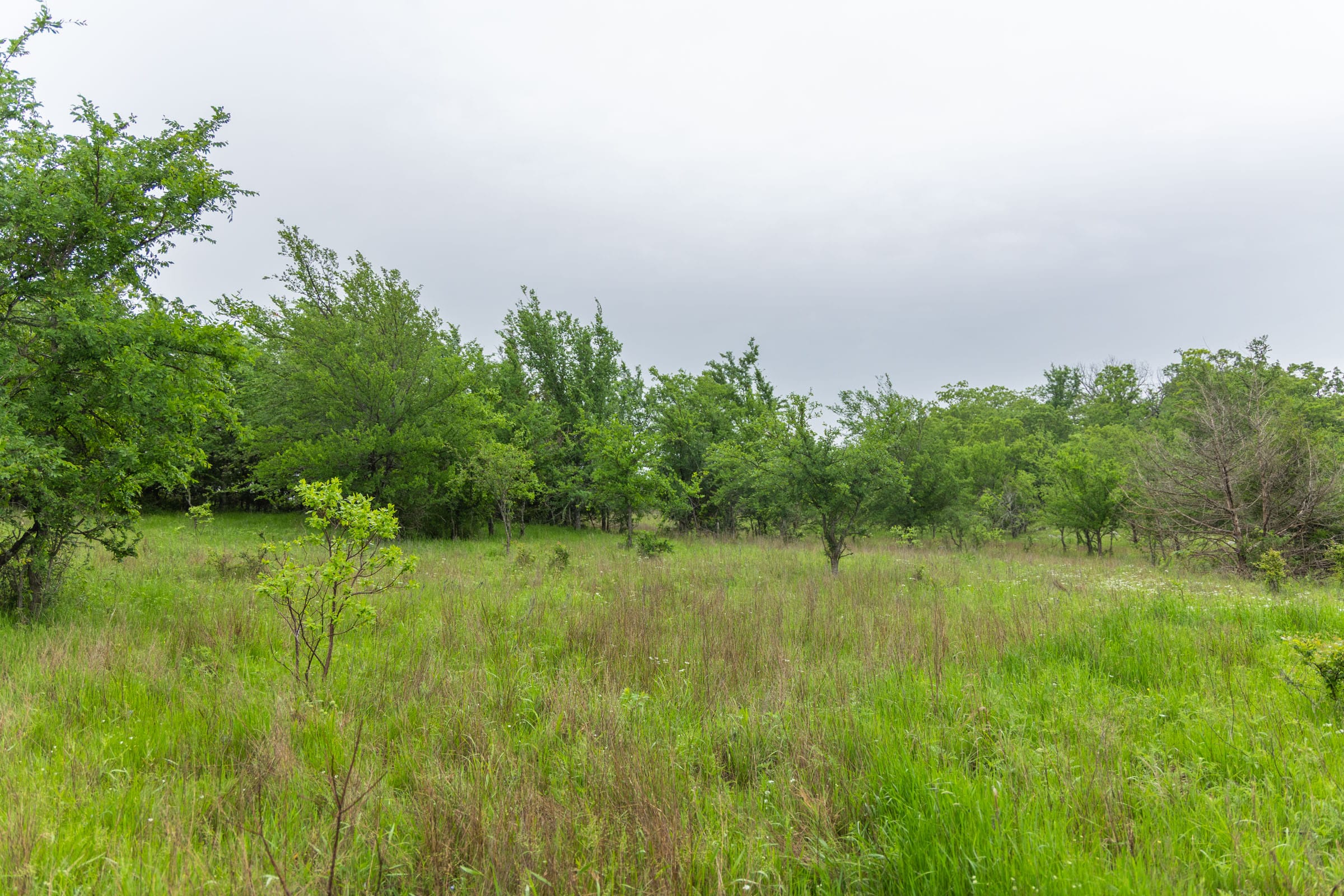 Harmony Hills Tract 7 photo 5