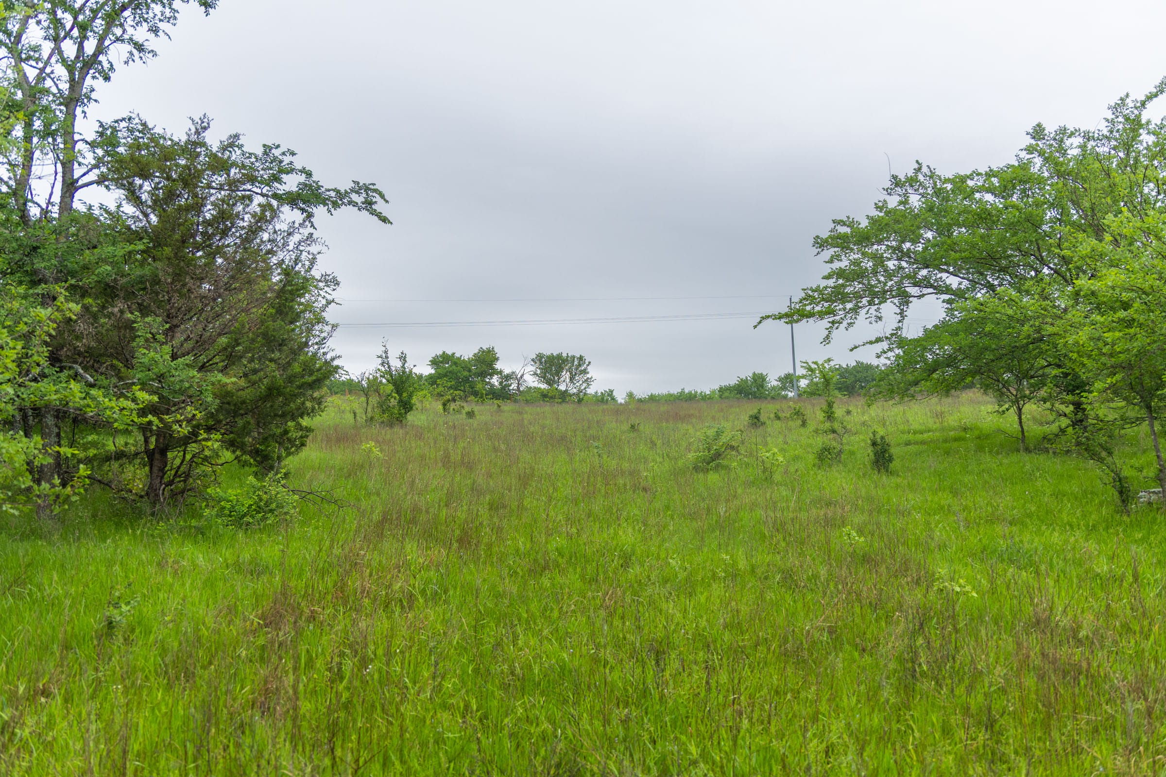 Harmony Hills Tract 7 photo 6