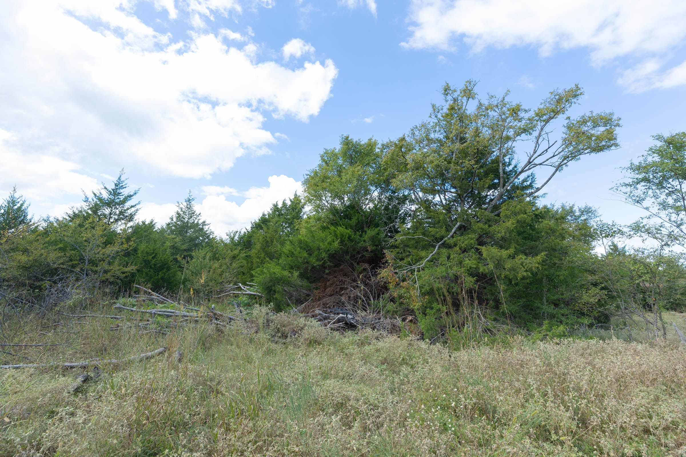 Reserves At Cattail Cove Phase II Tract 103 photo 5