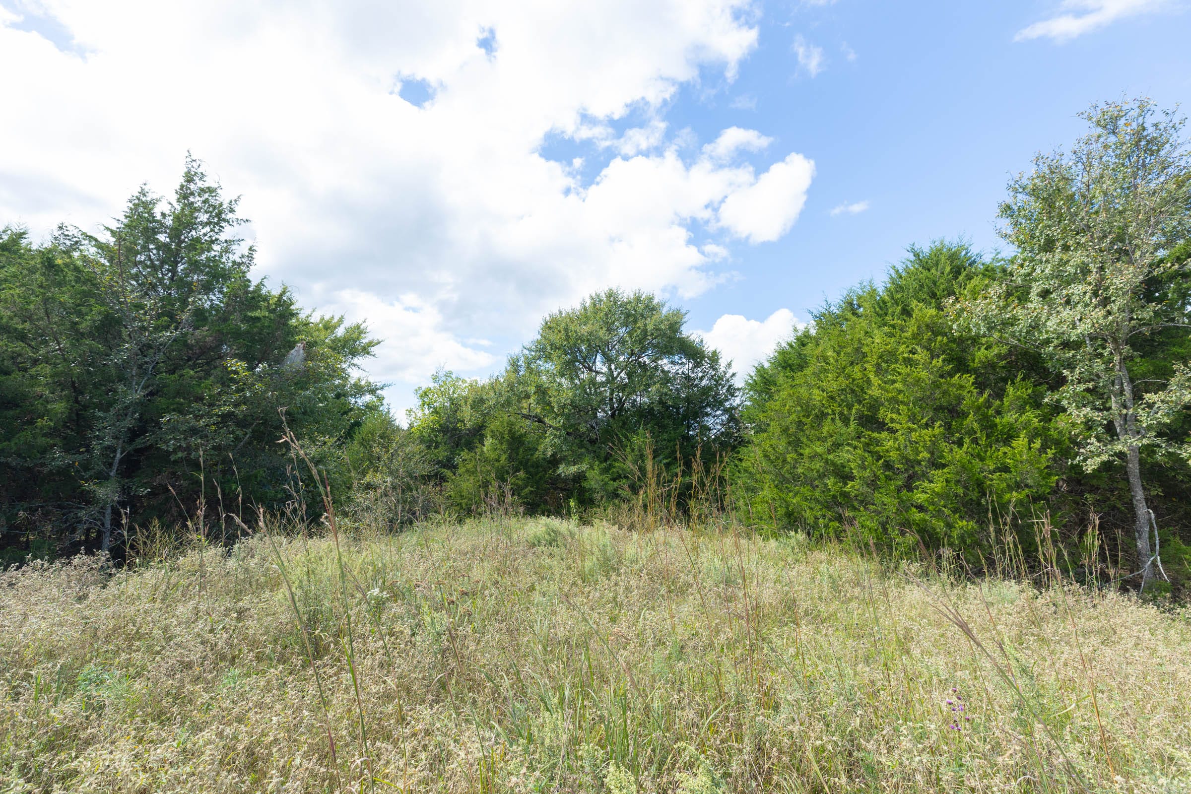 Reserves At Cattail Cove Phase II Tract 103 photo 4