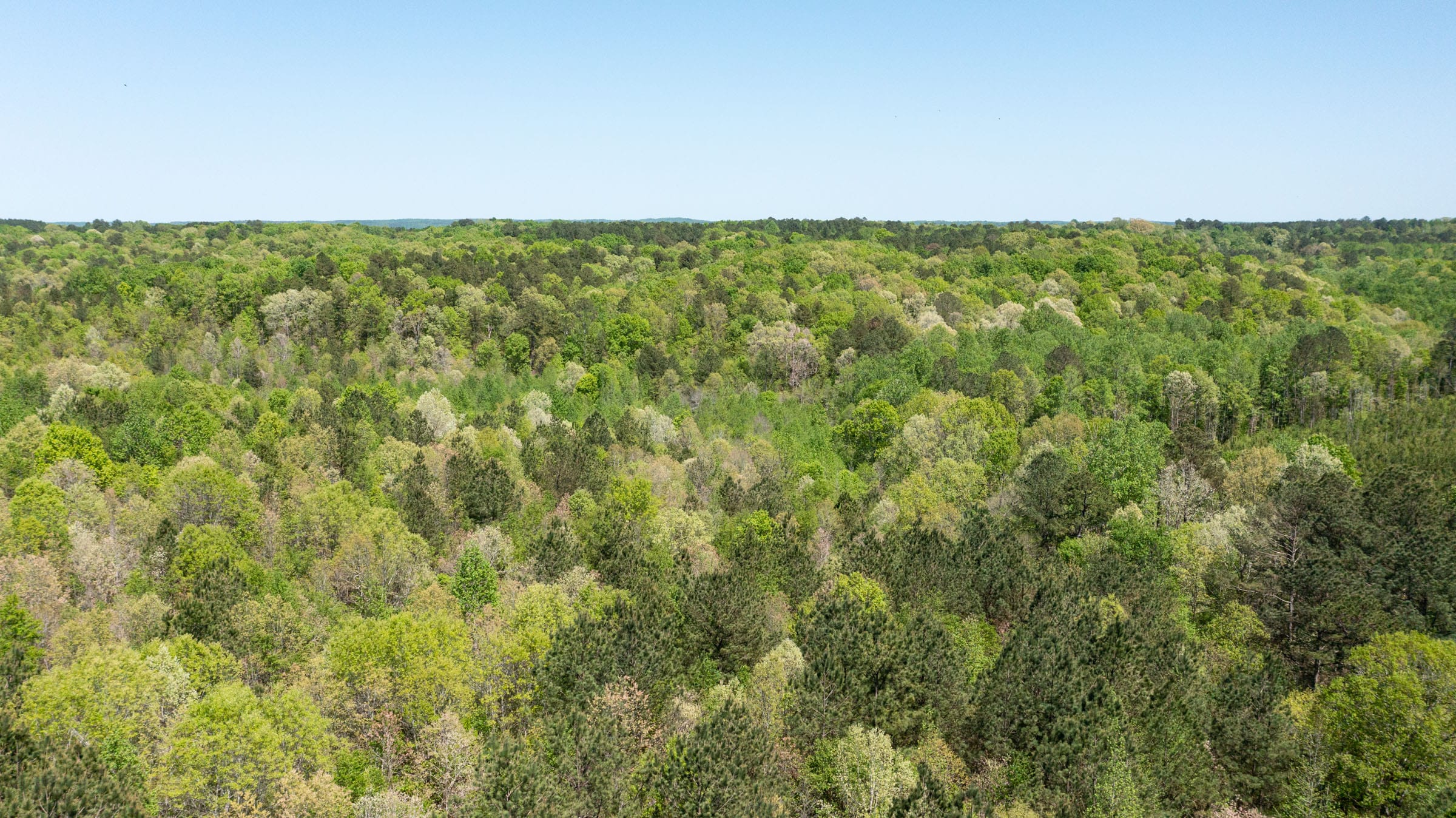 Clear Wood Tract 36 photo 2