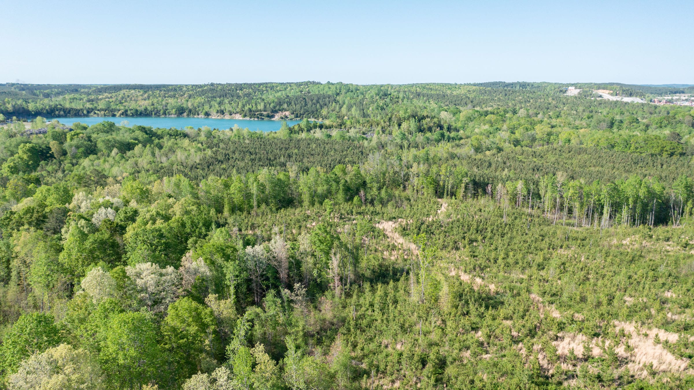 Clear Wood Tract 36 photo 3